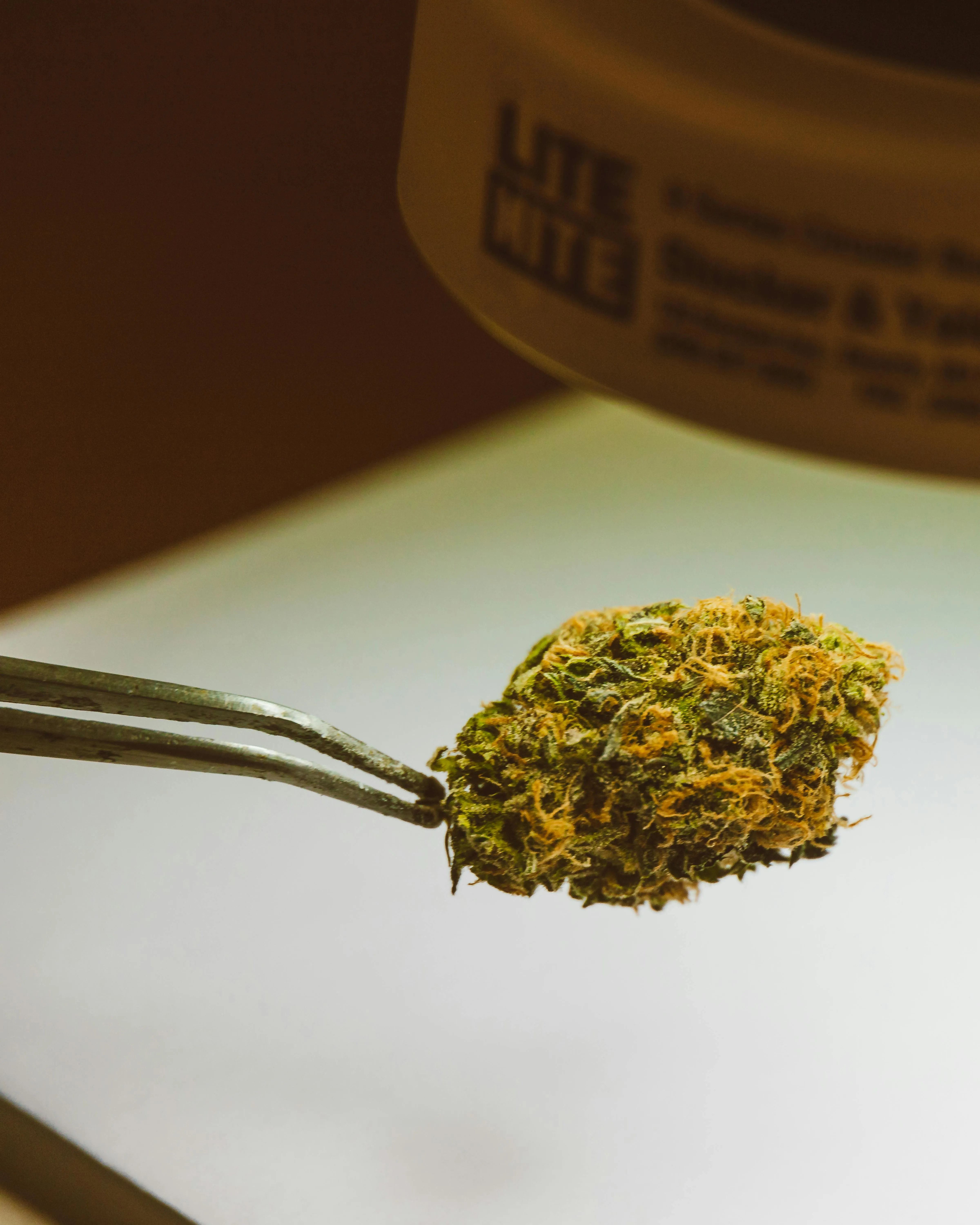 natural health