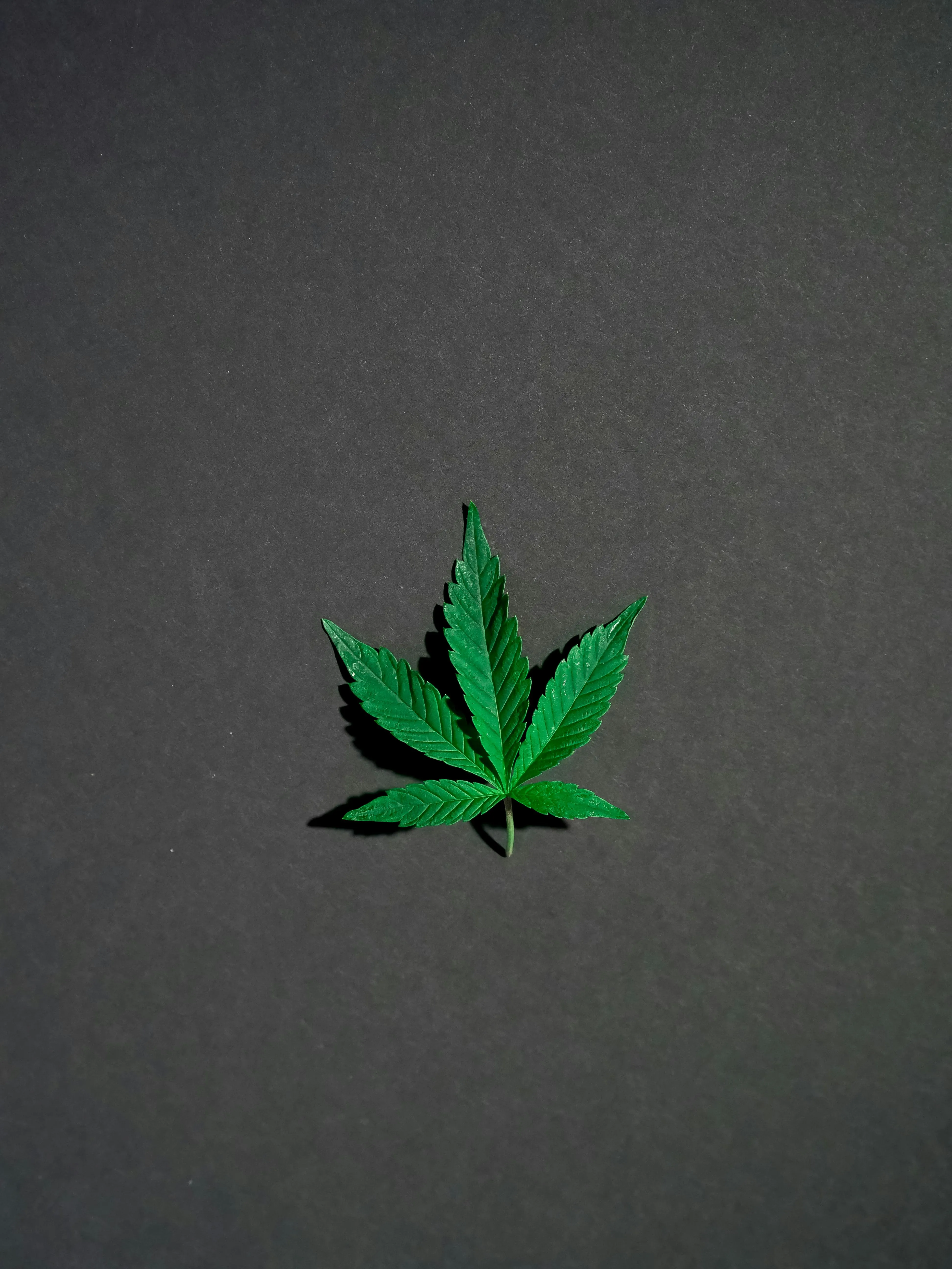 weed delivery