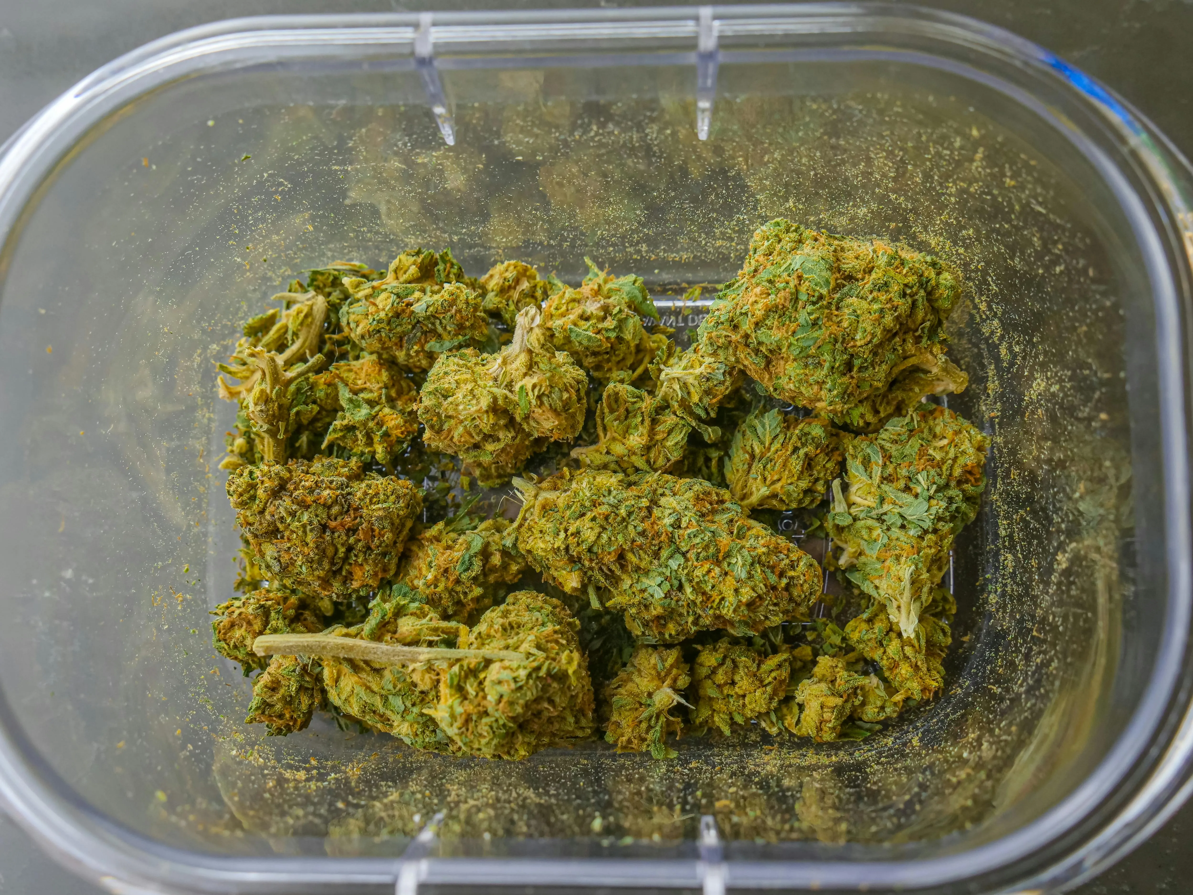 Toronto cannabis