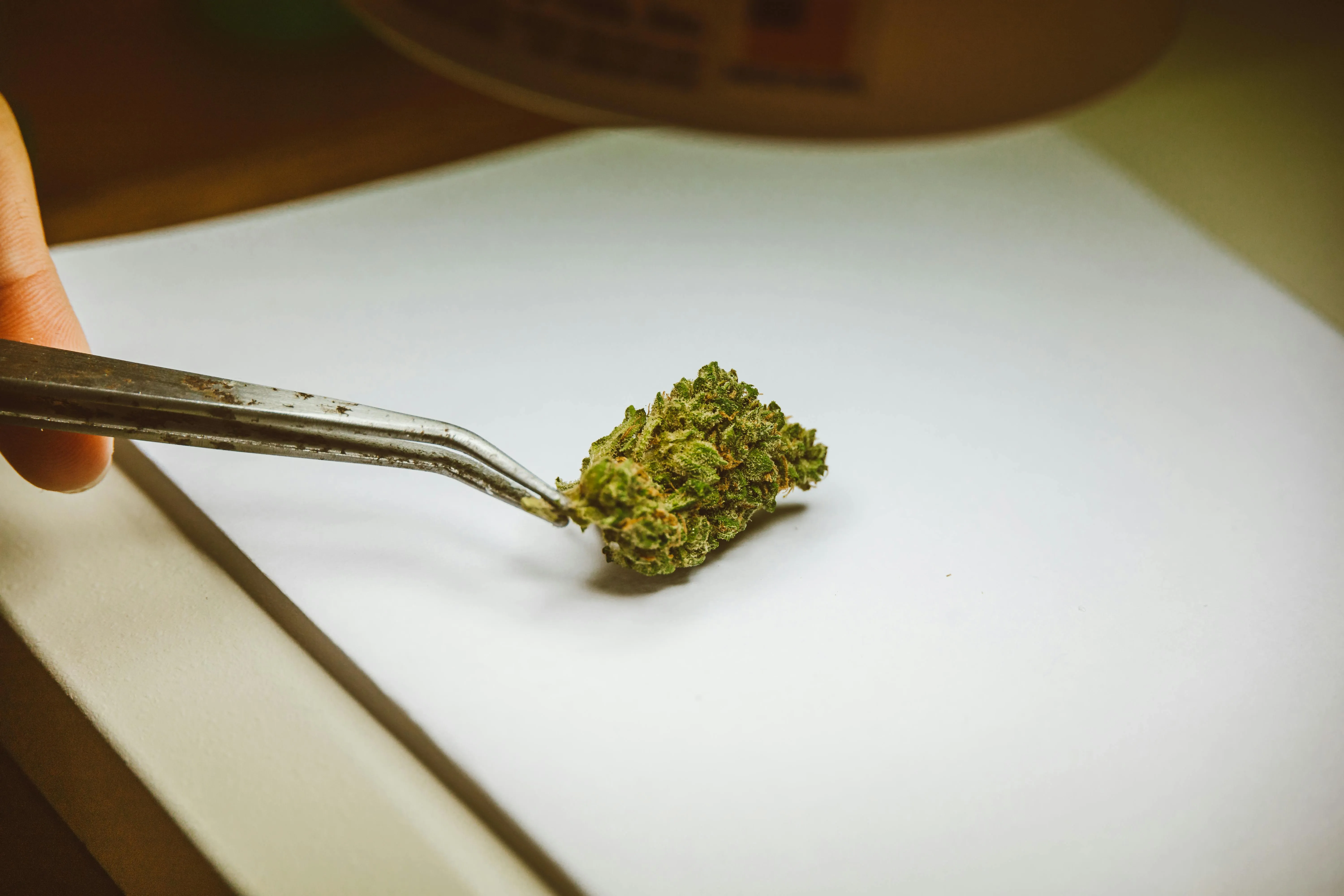herbicide guide