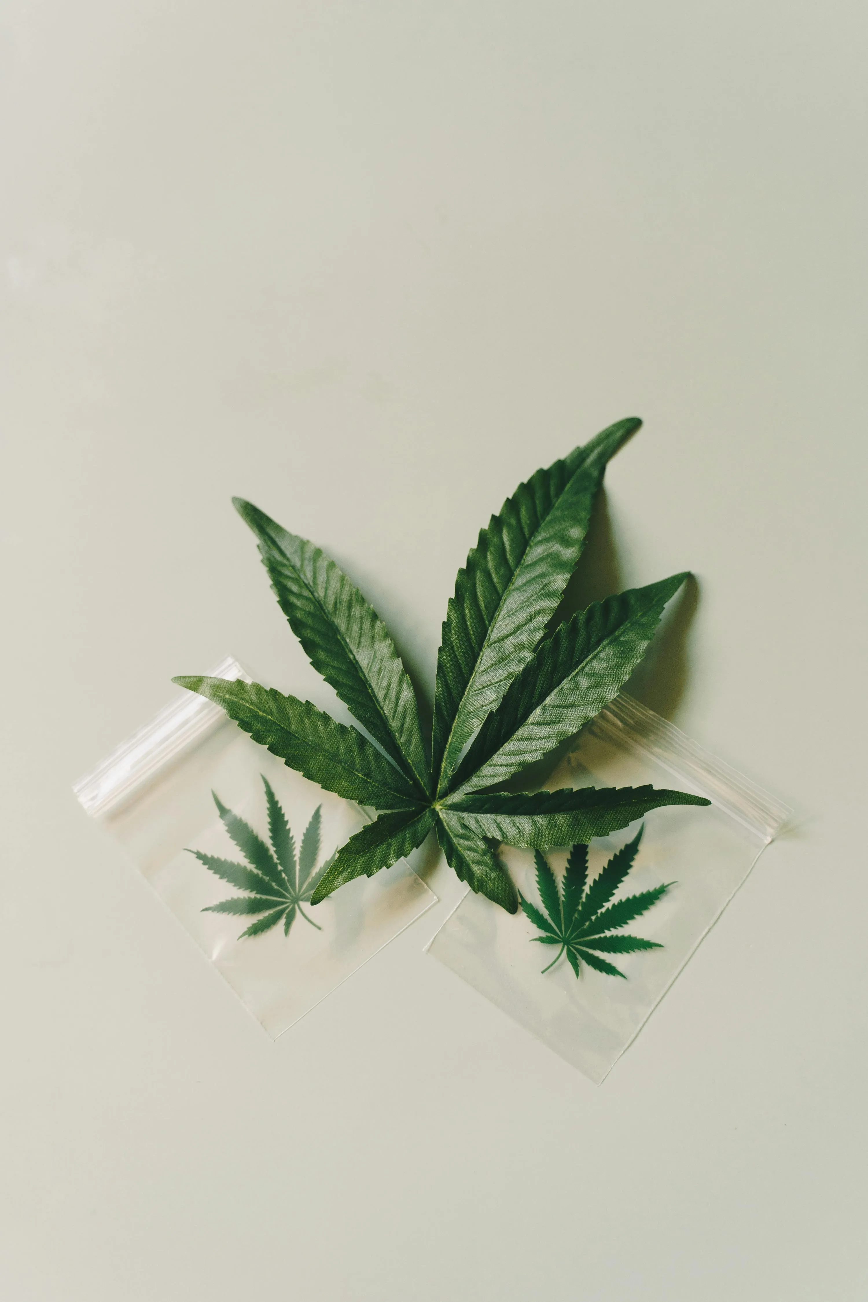 dispensary near me