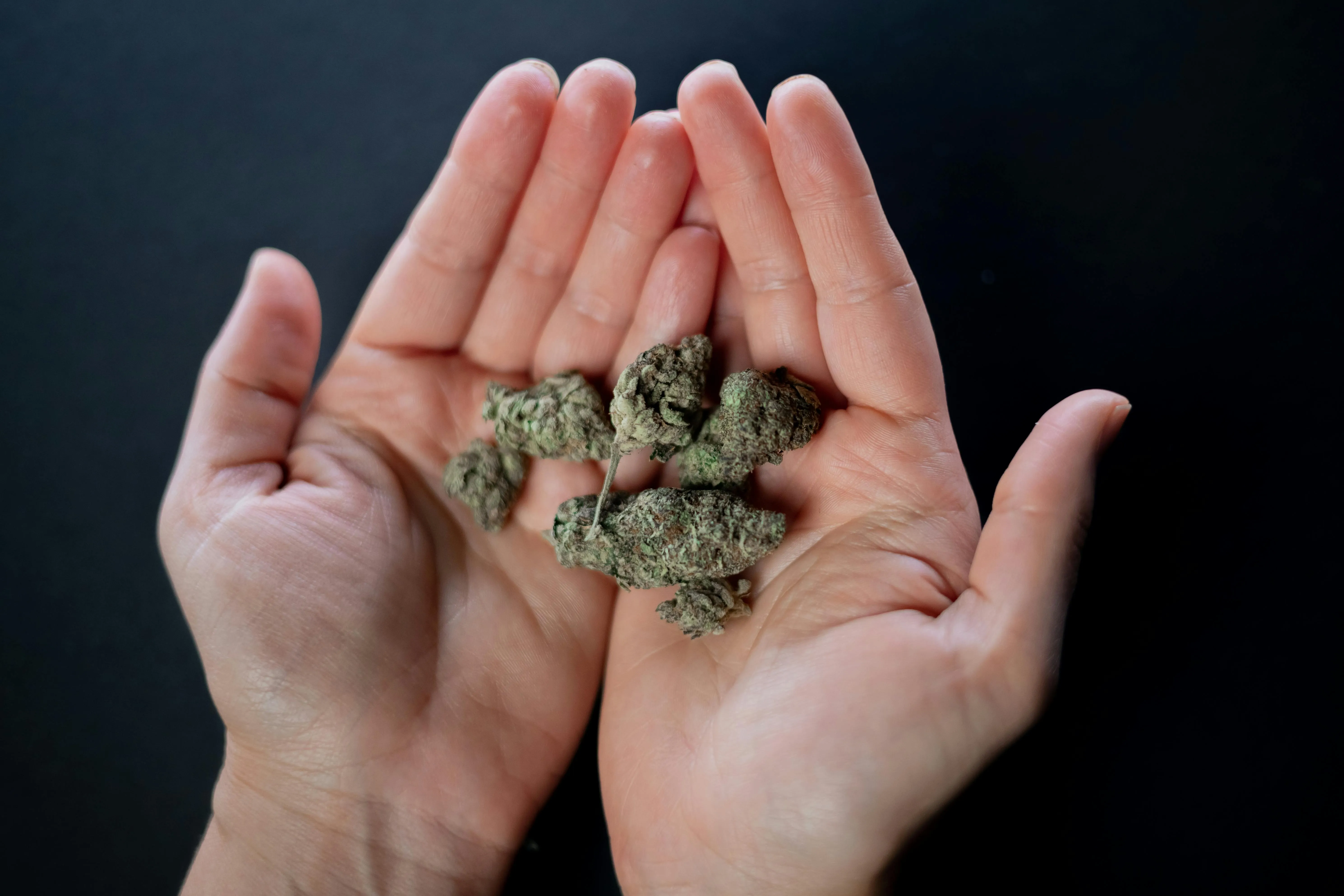 weed