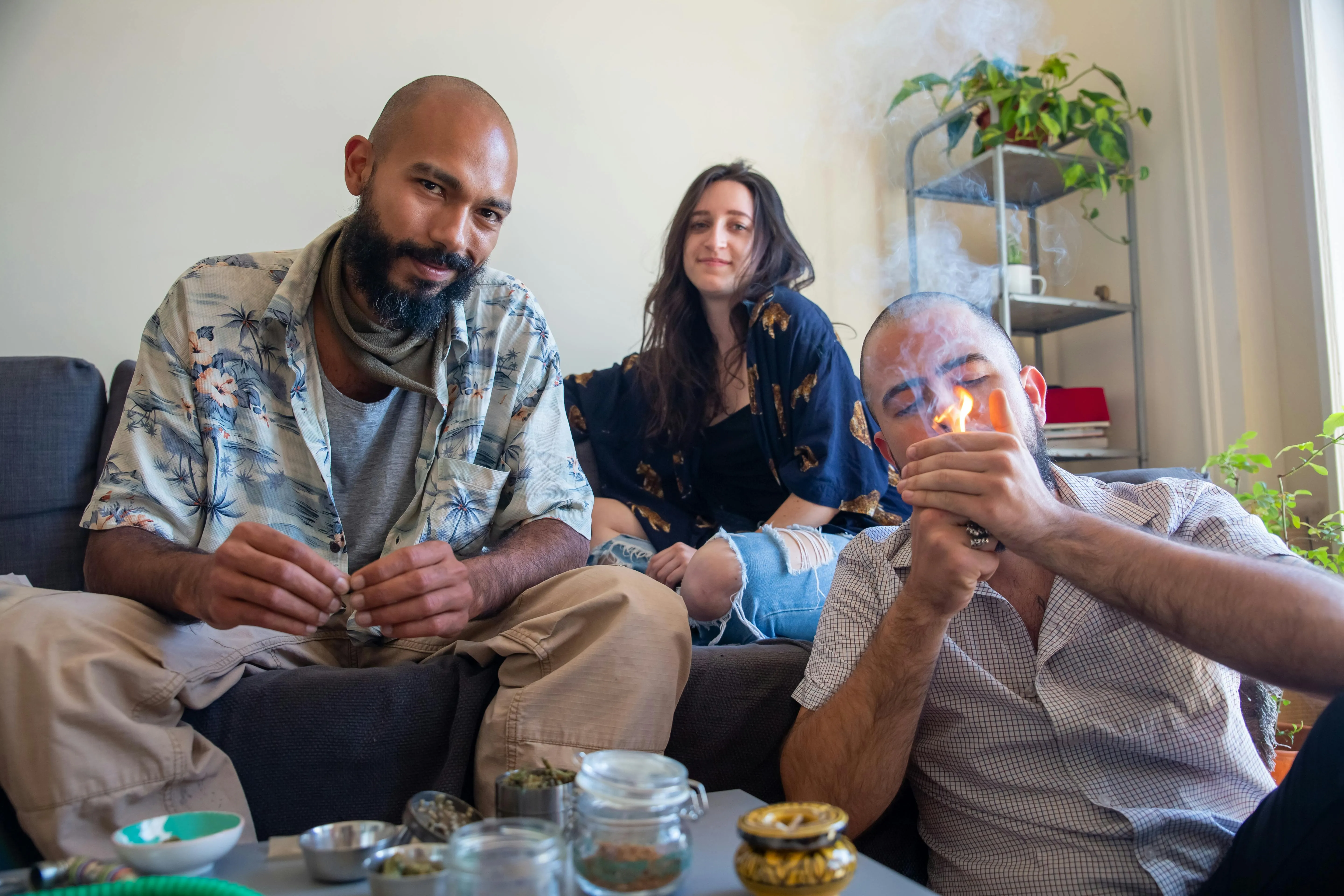 buy cannabis online
