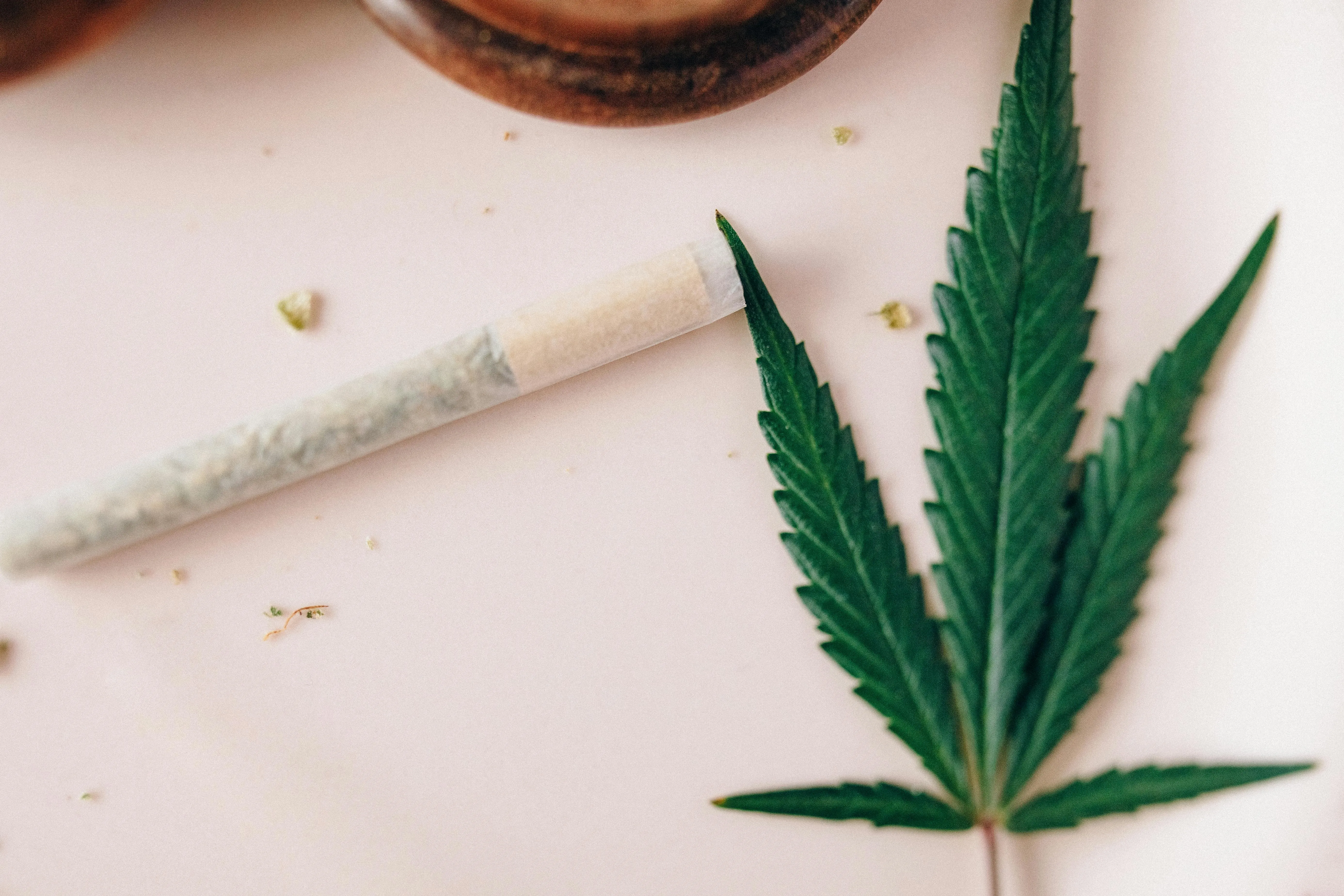 dispensaries montreal