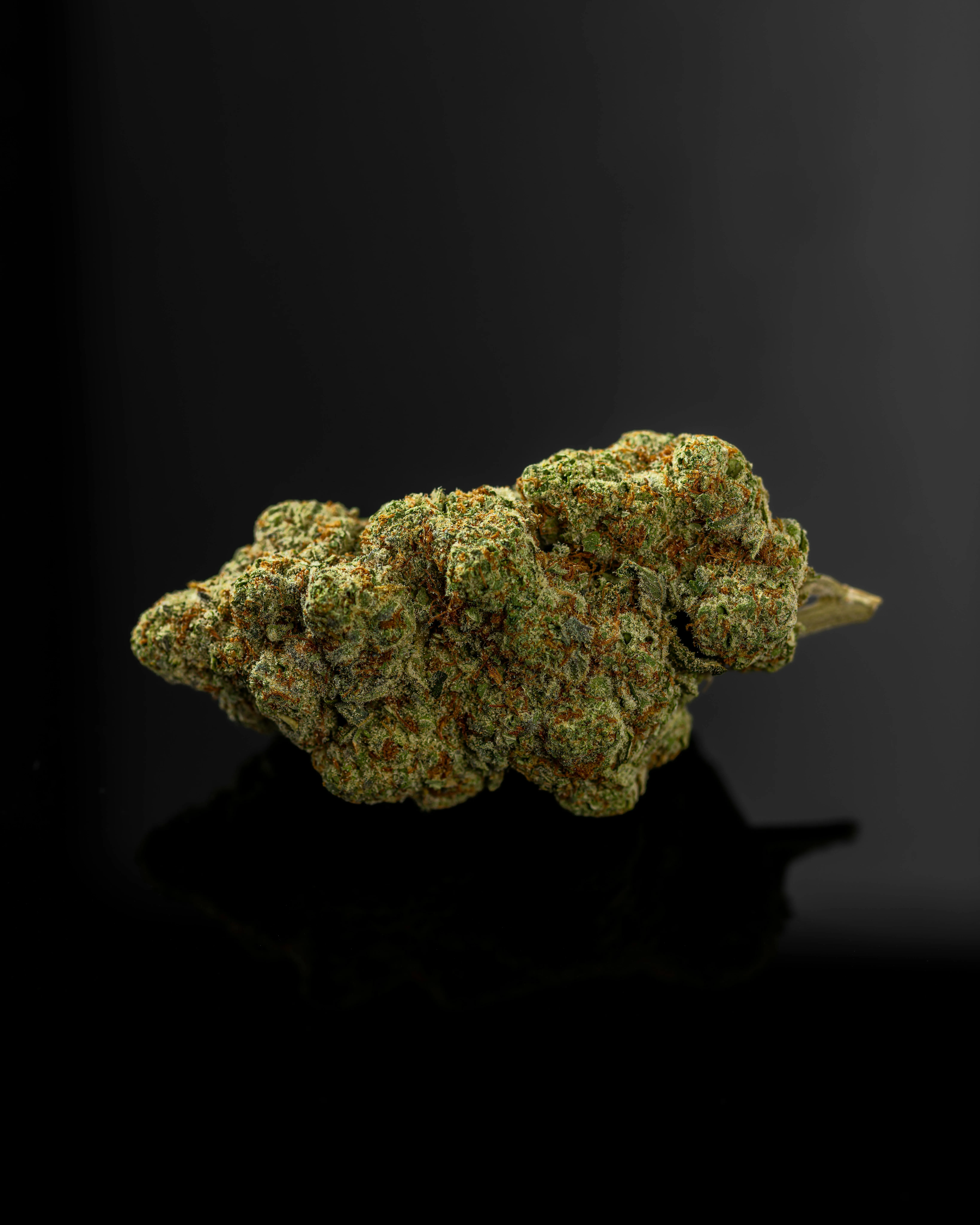 medicinal herbs
