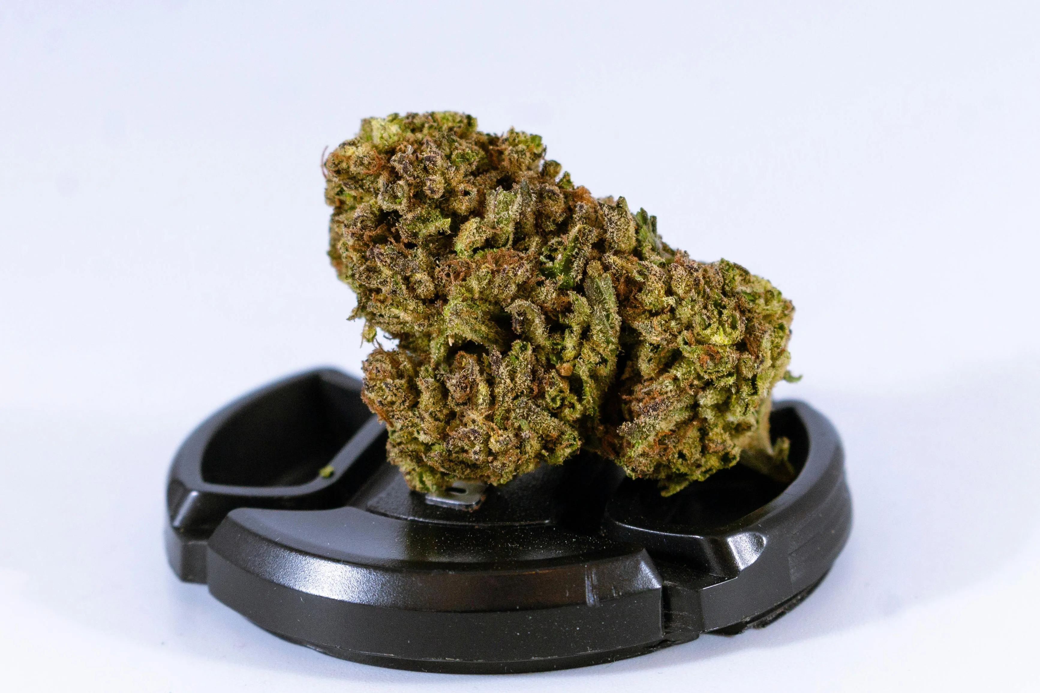 cannabis