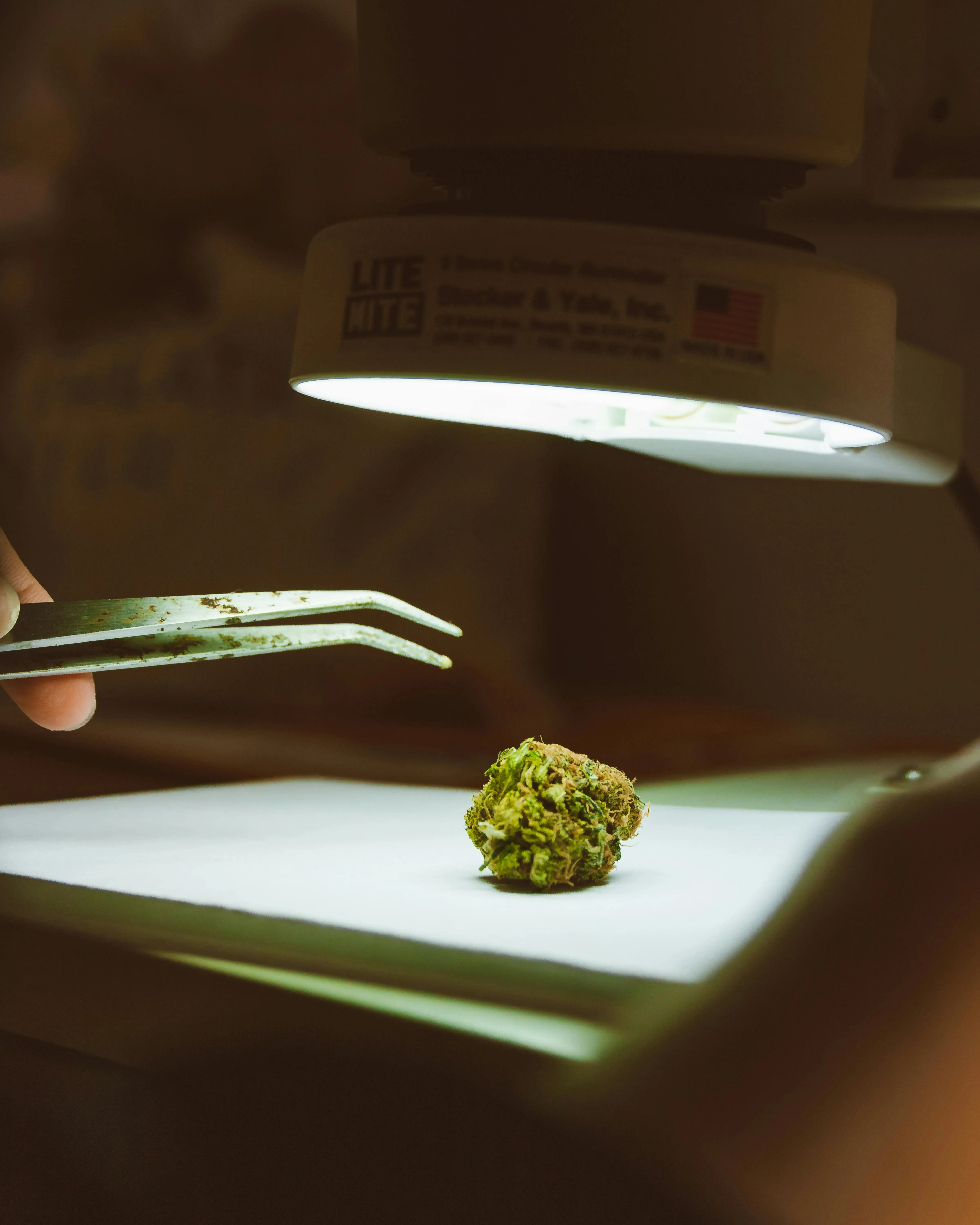 cannabis montreal