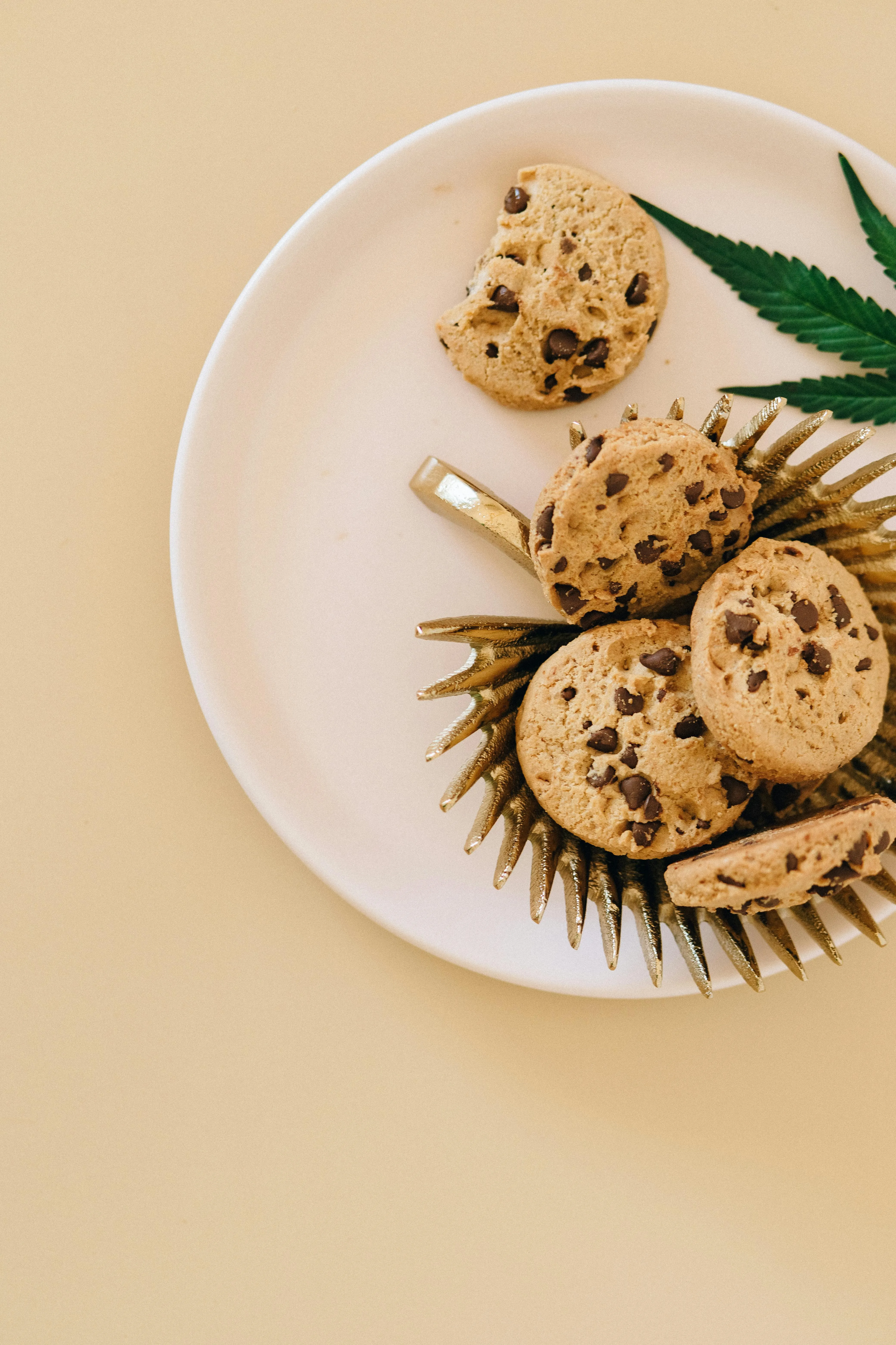 cannabis stores