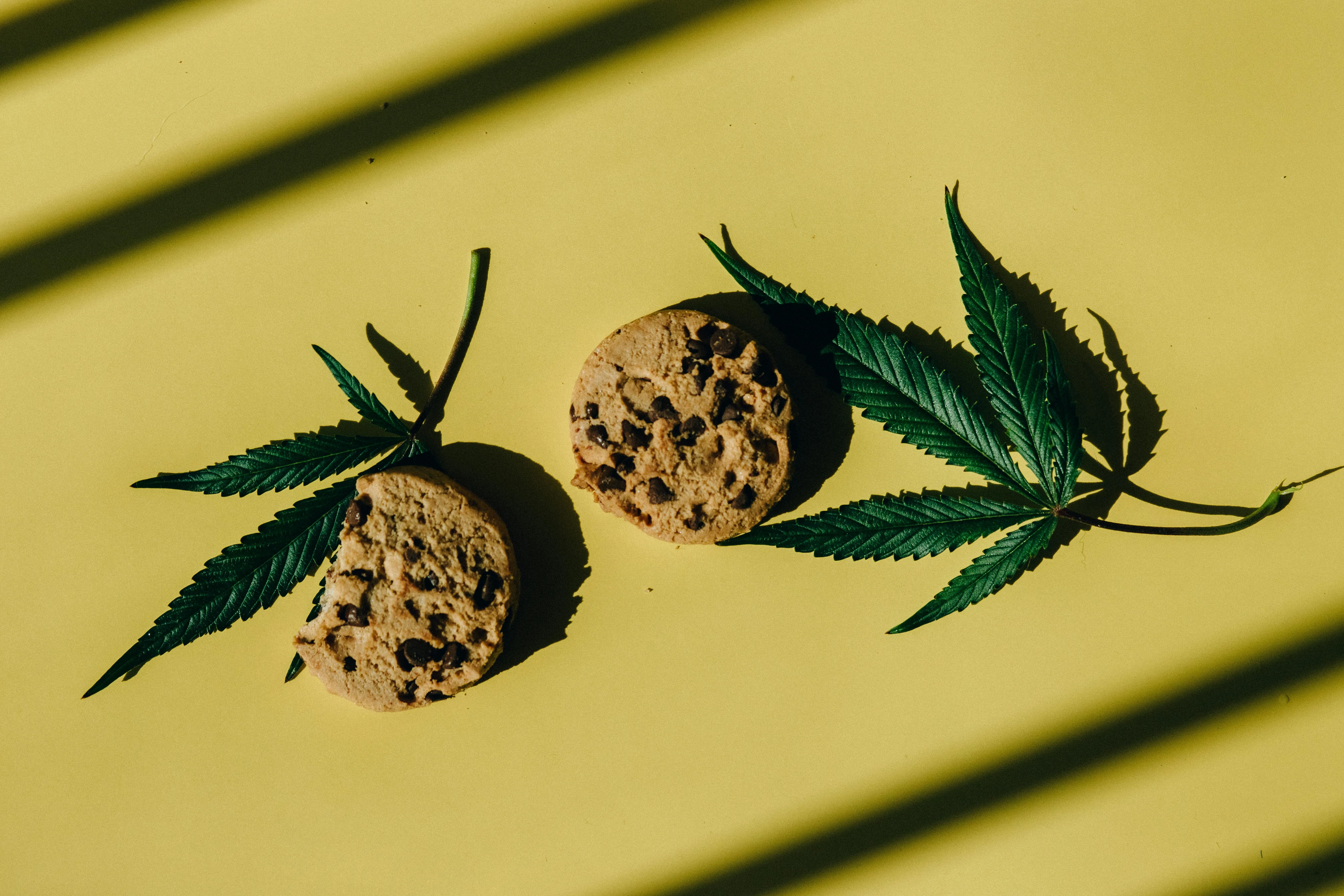 legalization