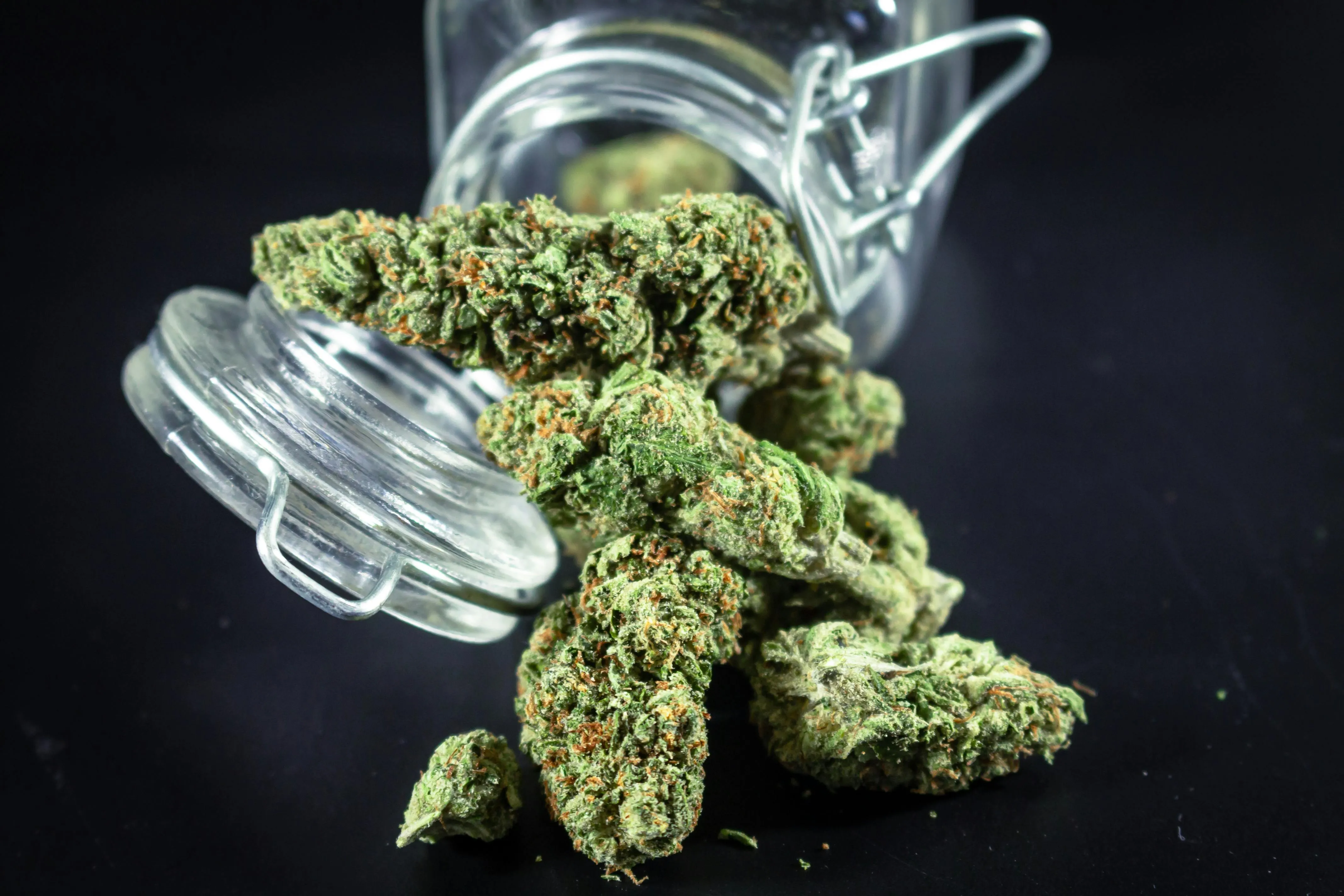 toronto dispensaries