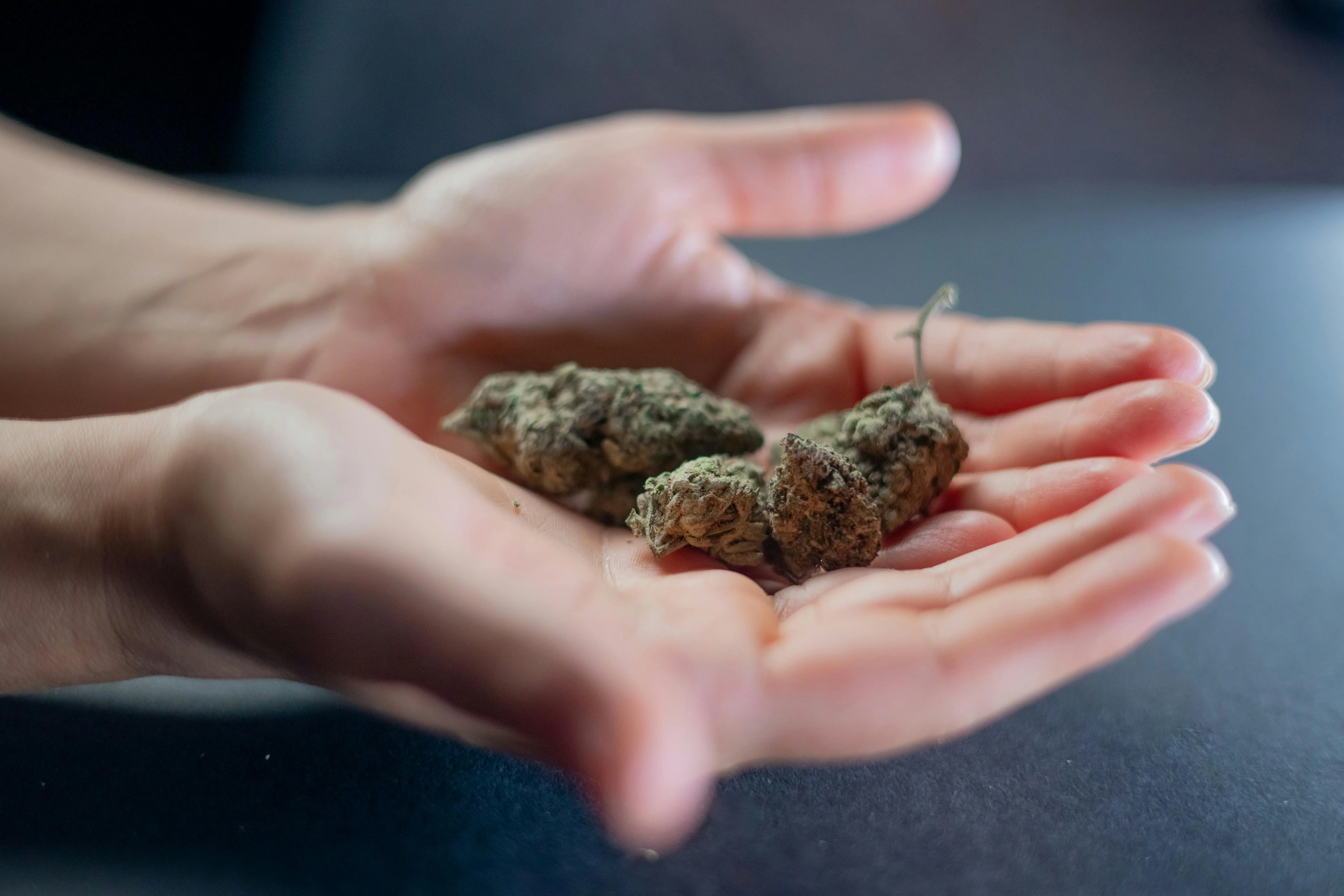 Dispensaries
