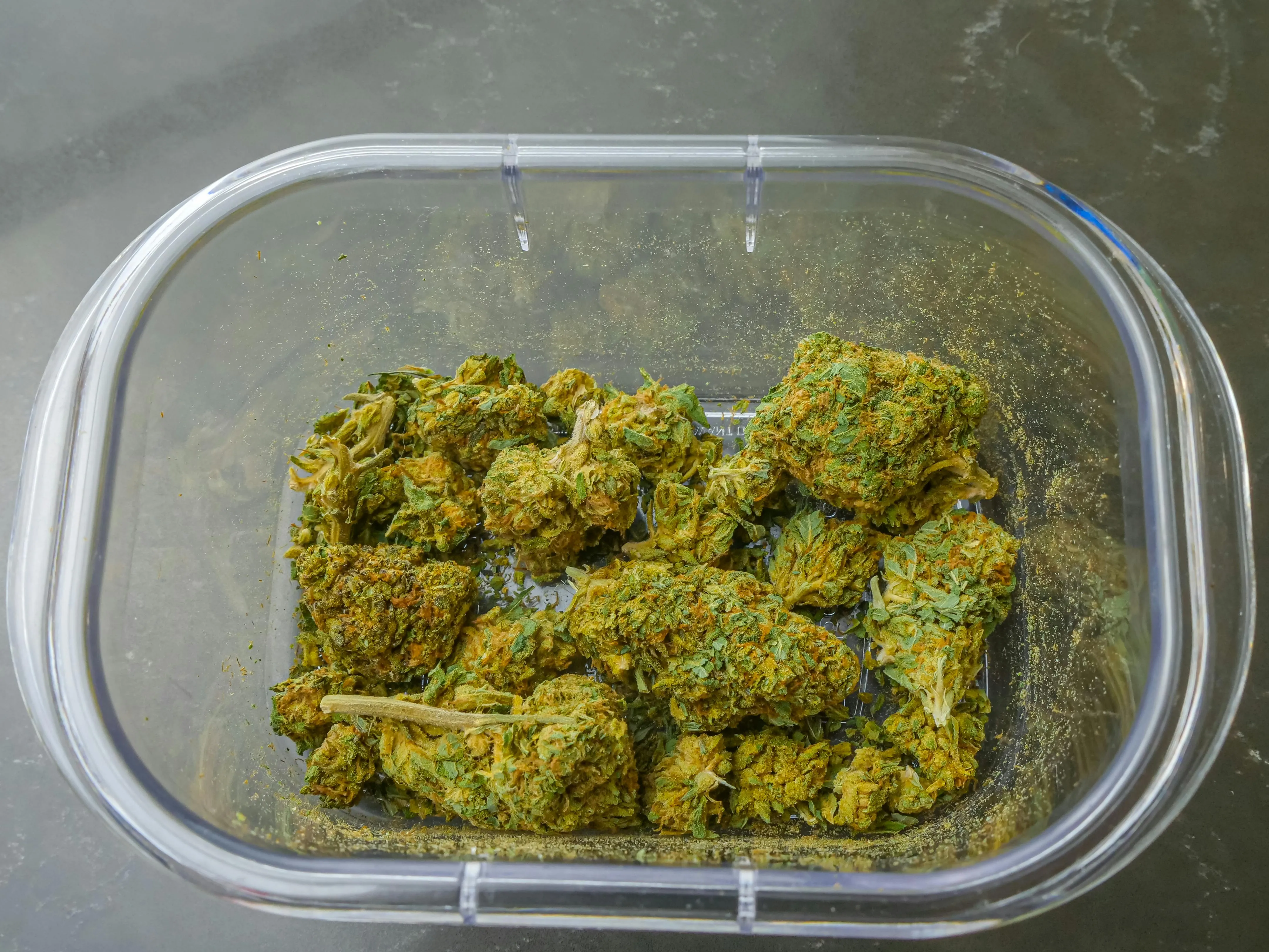 best dispensaries Toronto