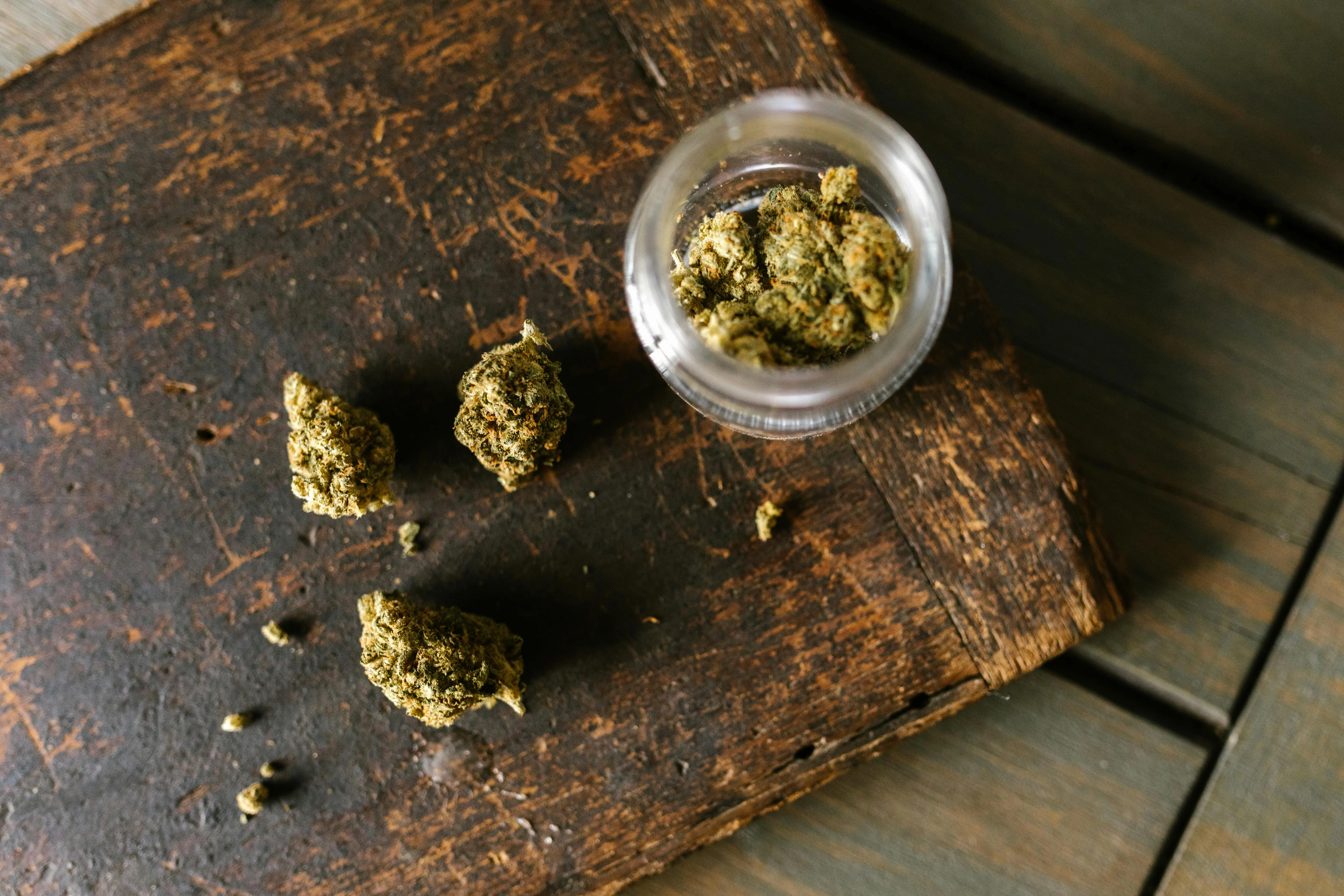 Toronto Dispensaries