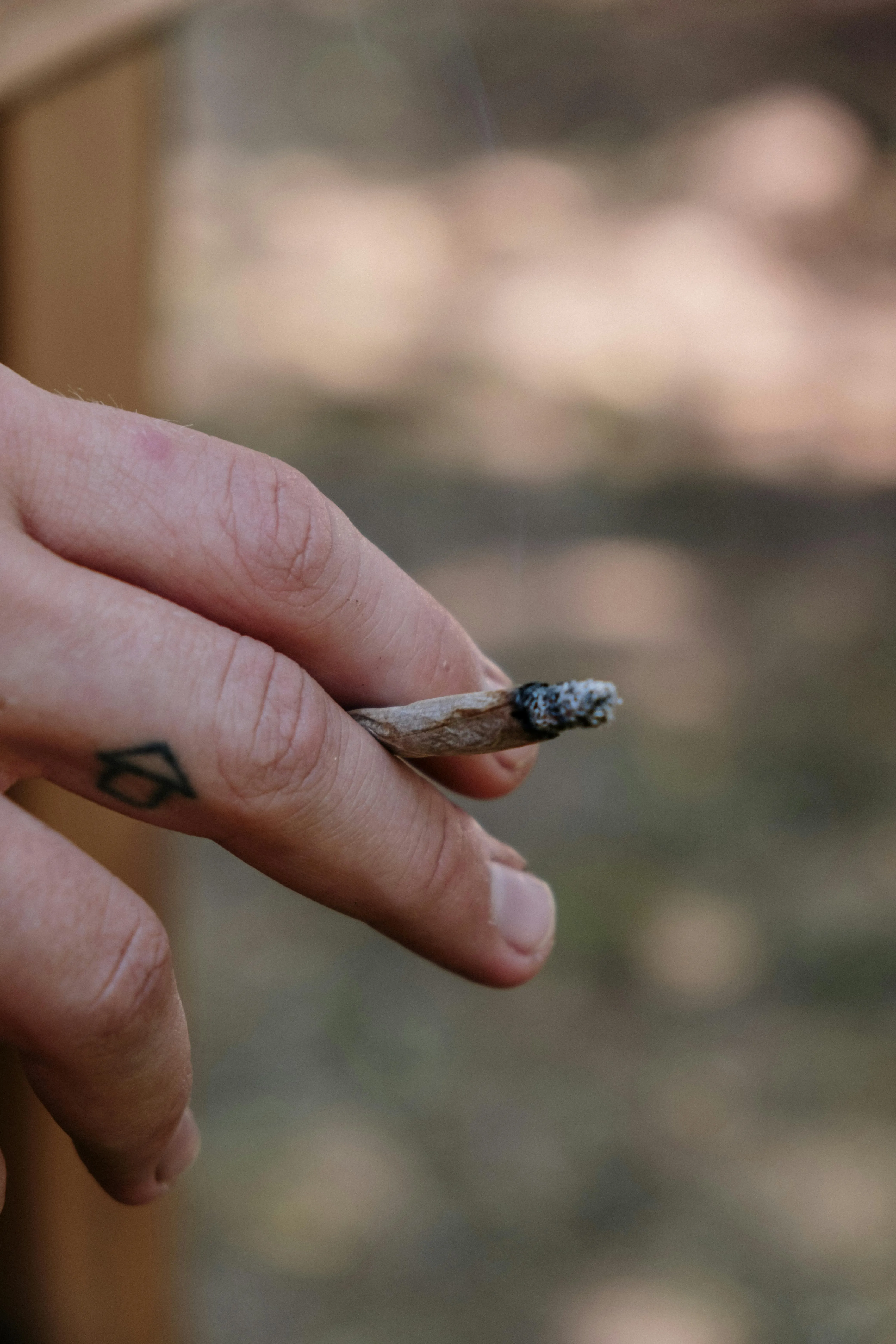 marijuana seeds