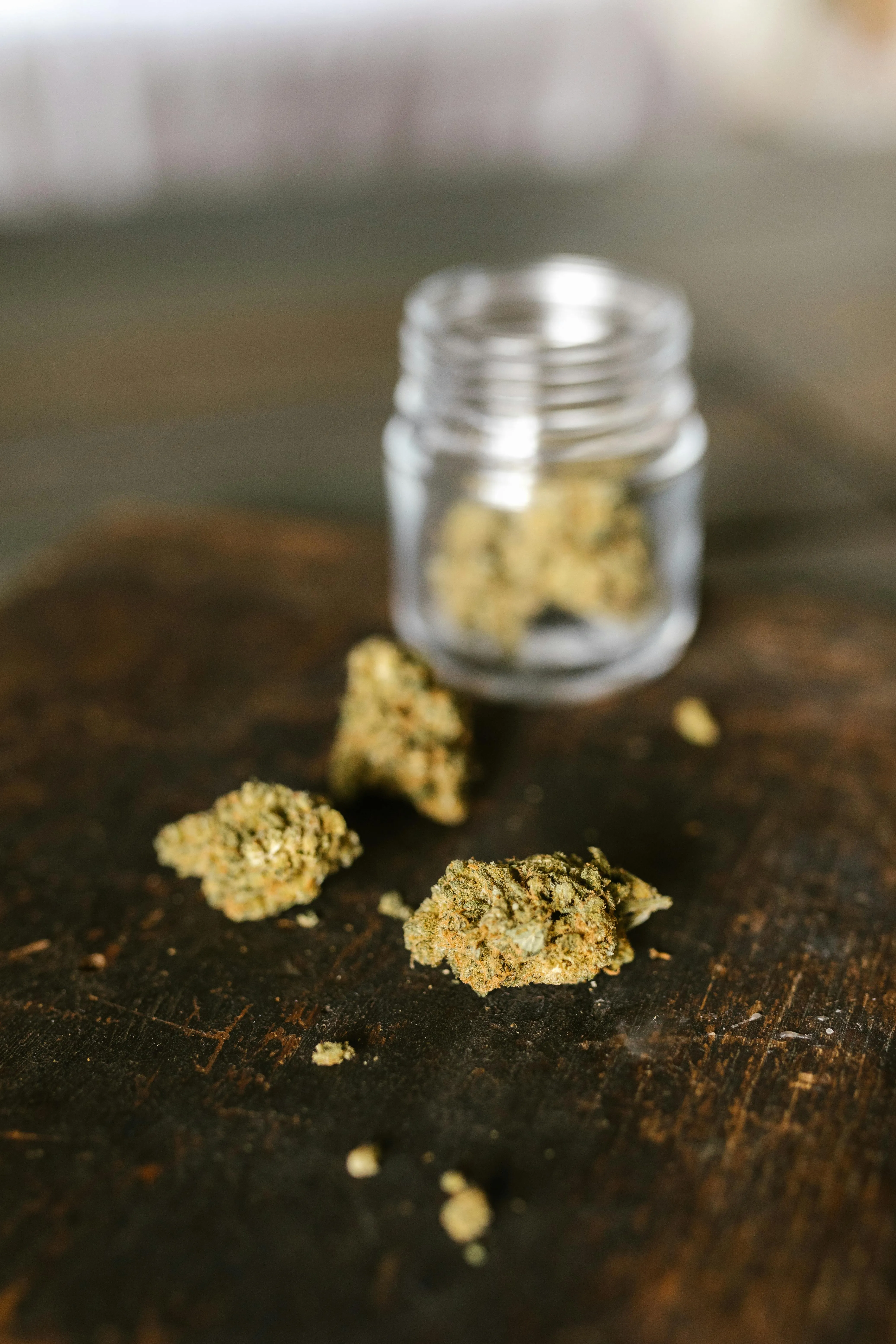 premium seeds