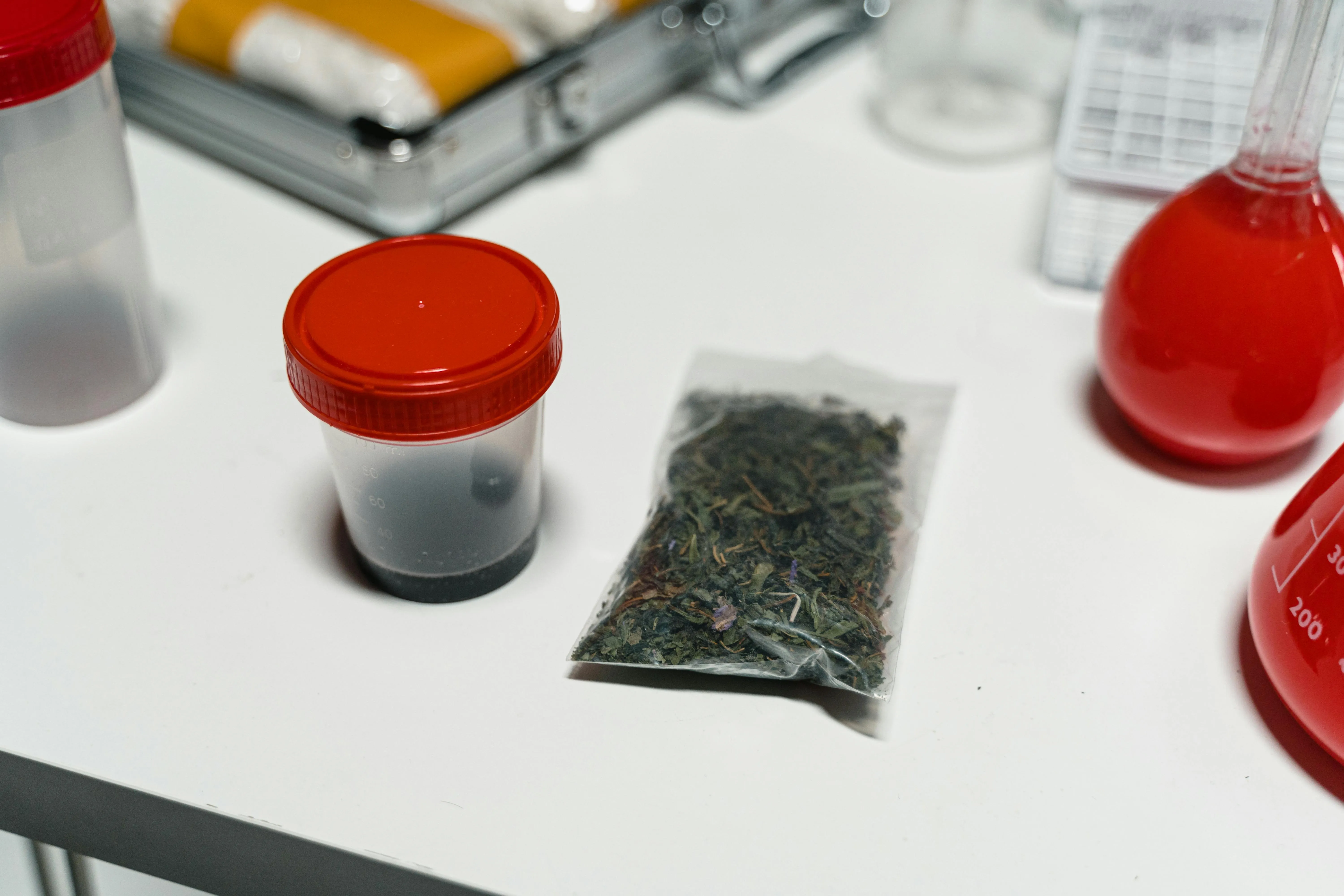 online seed bank