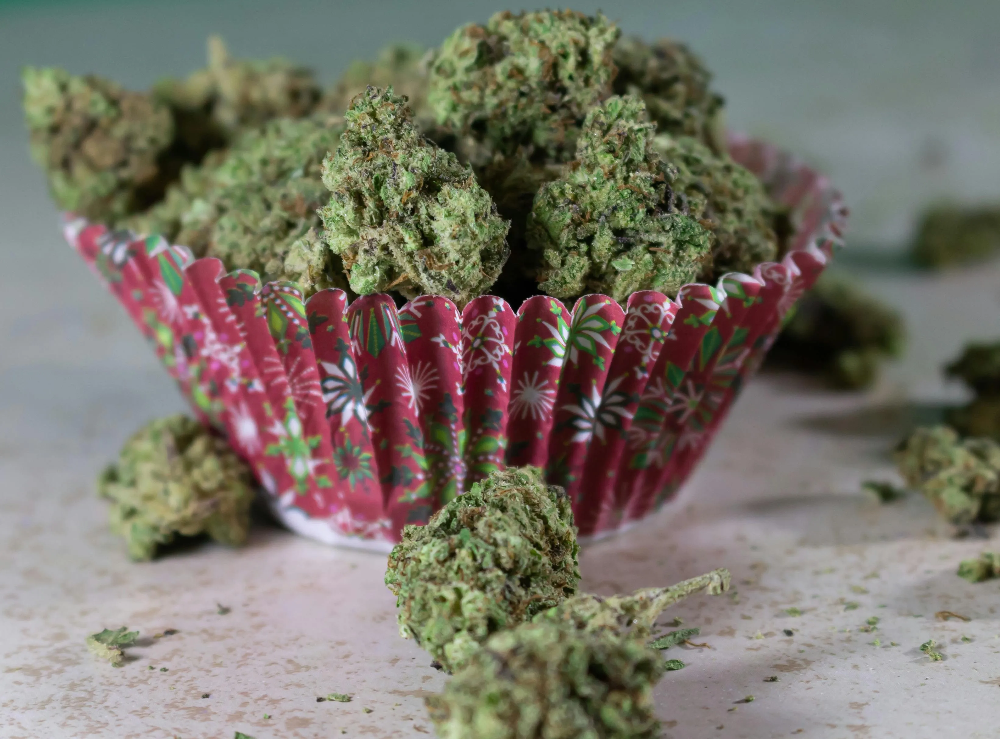 premium cannabis seeds