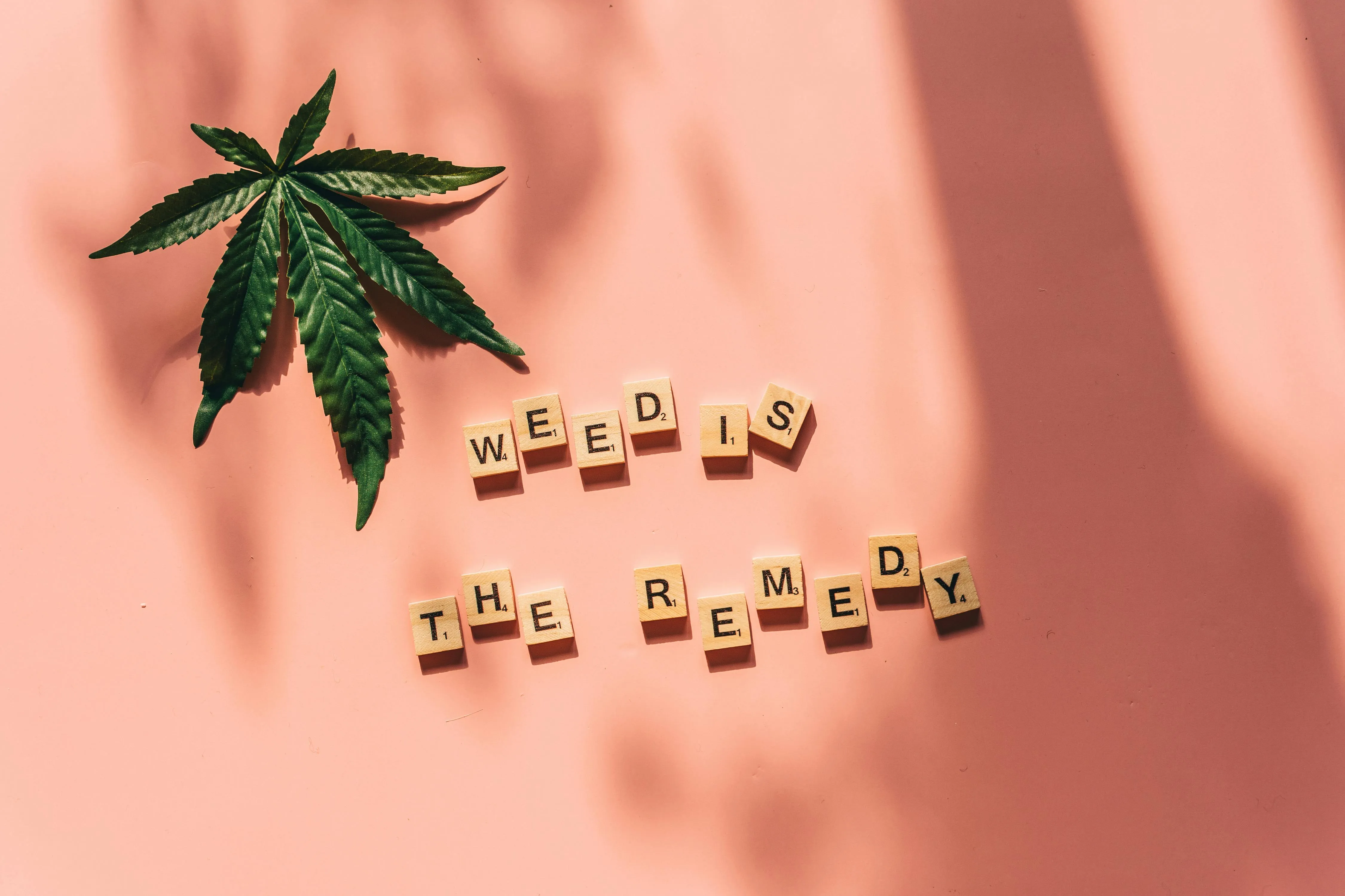 wholesale cannabis