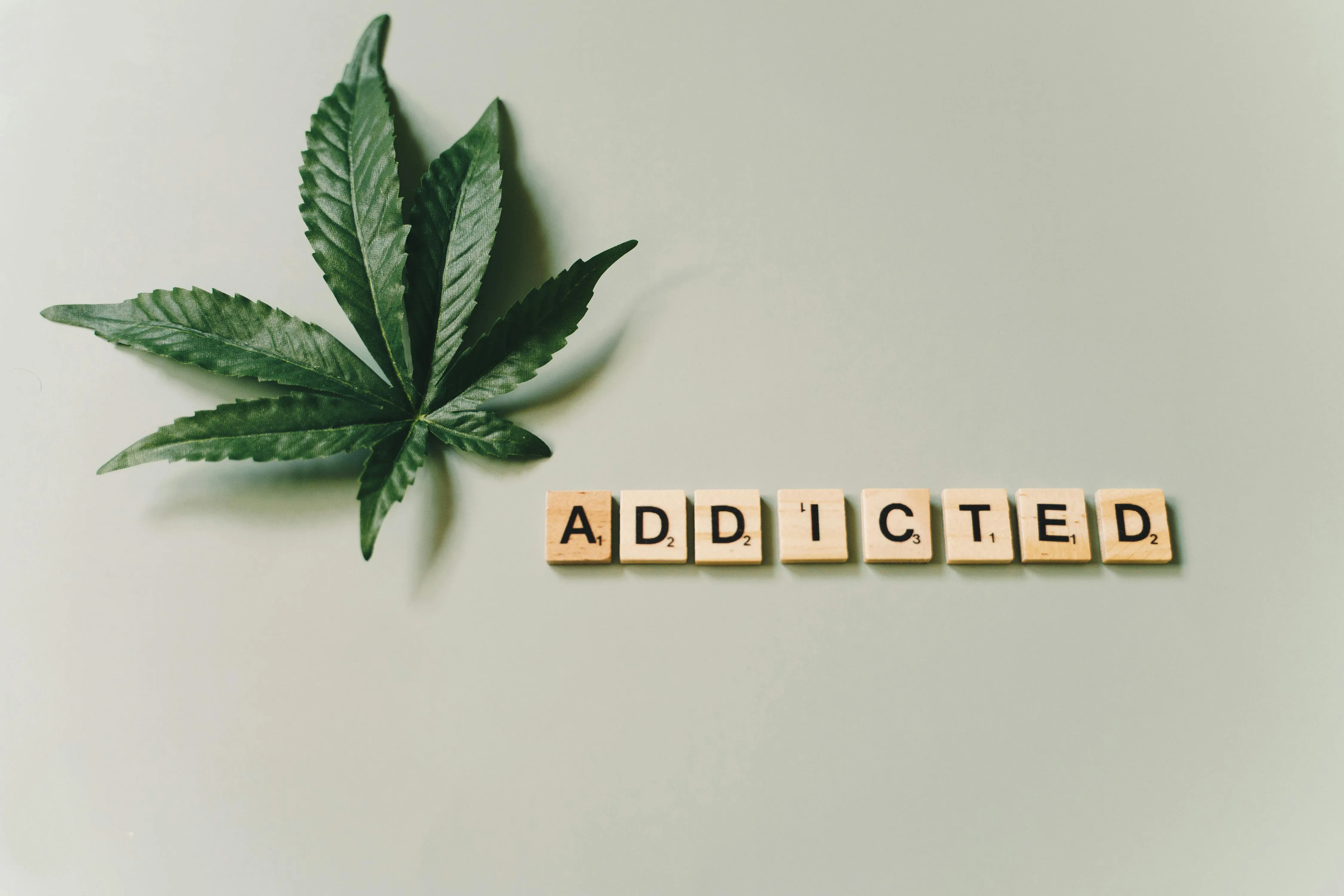 secure online dispensary