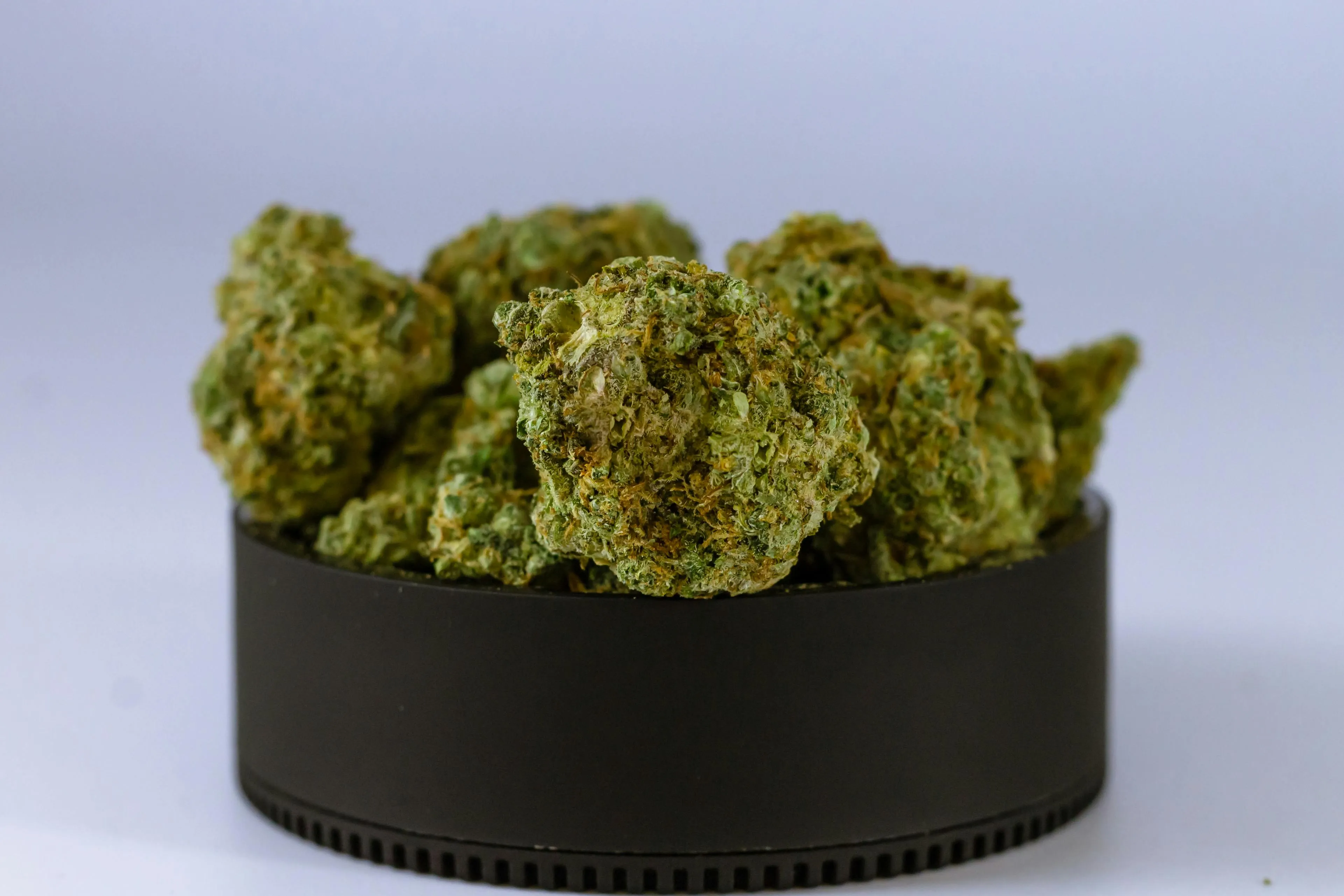 online dispensary