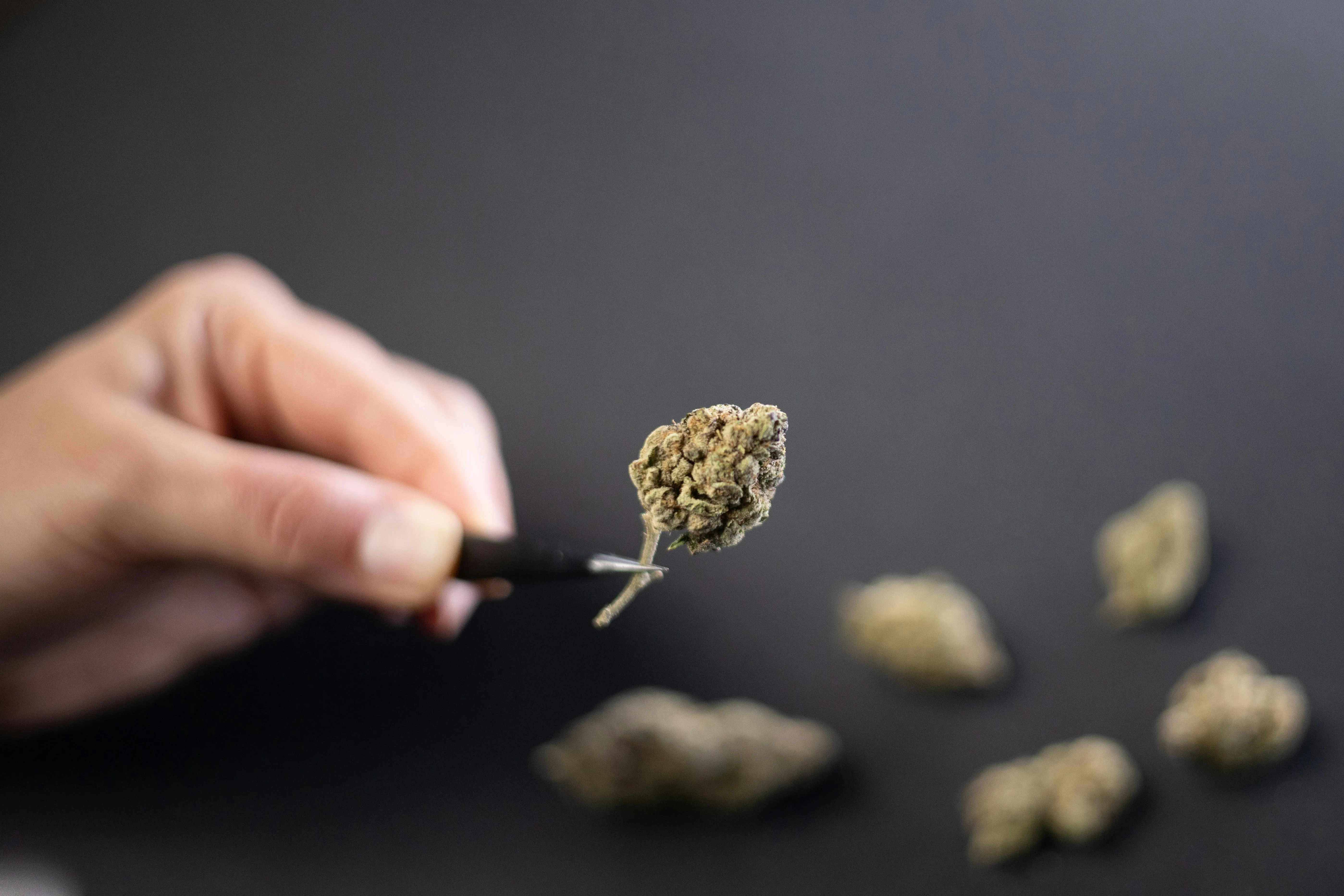 Cannabis Products