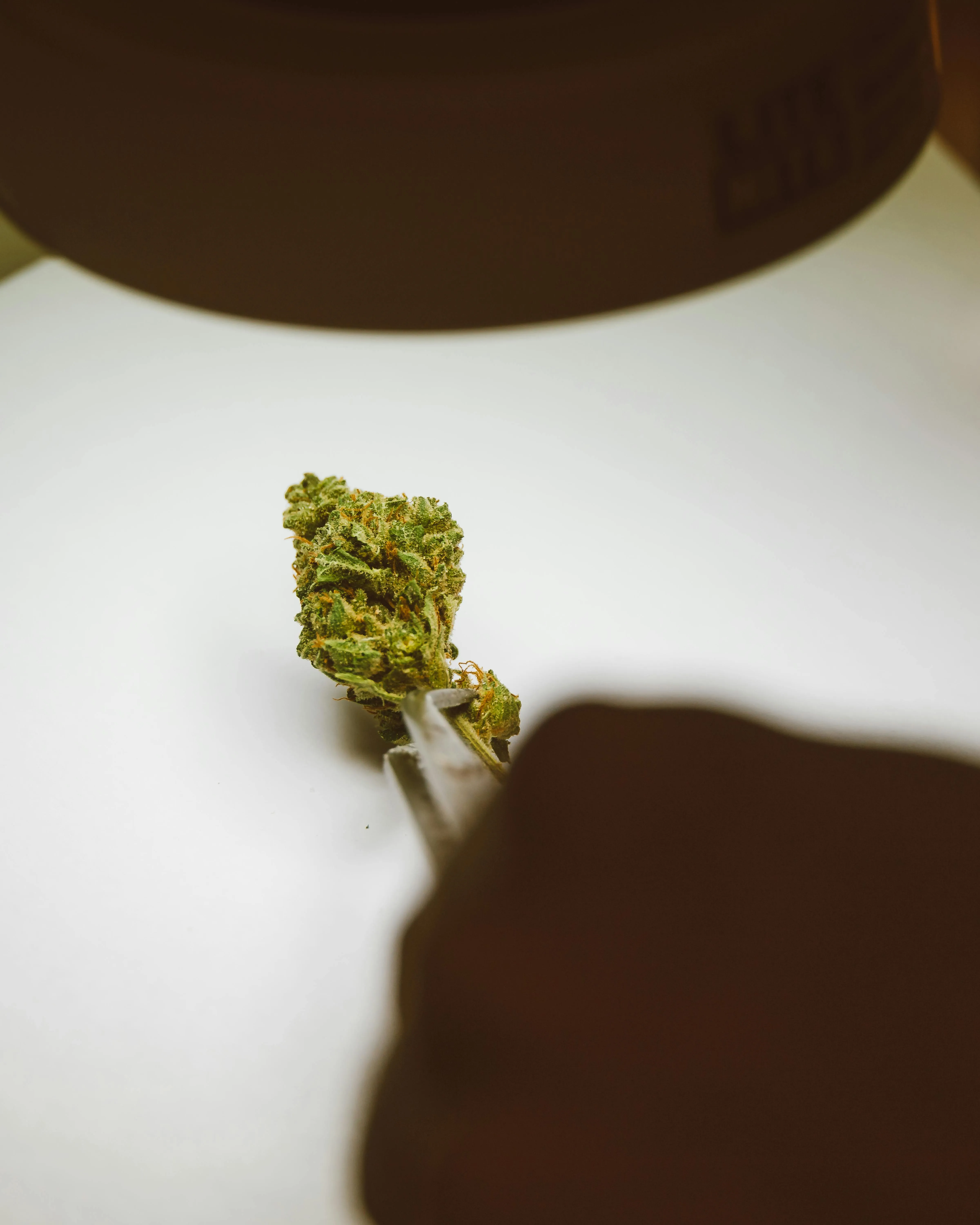 THC