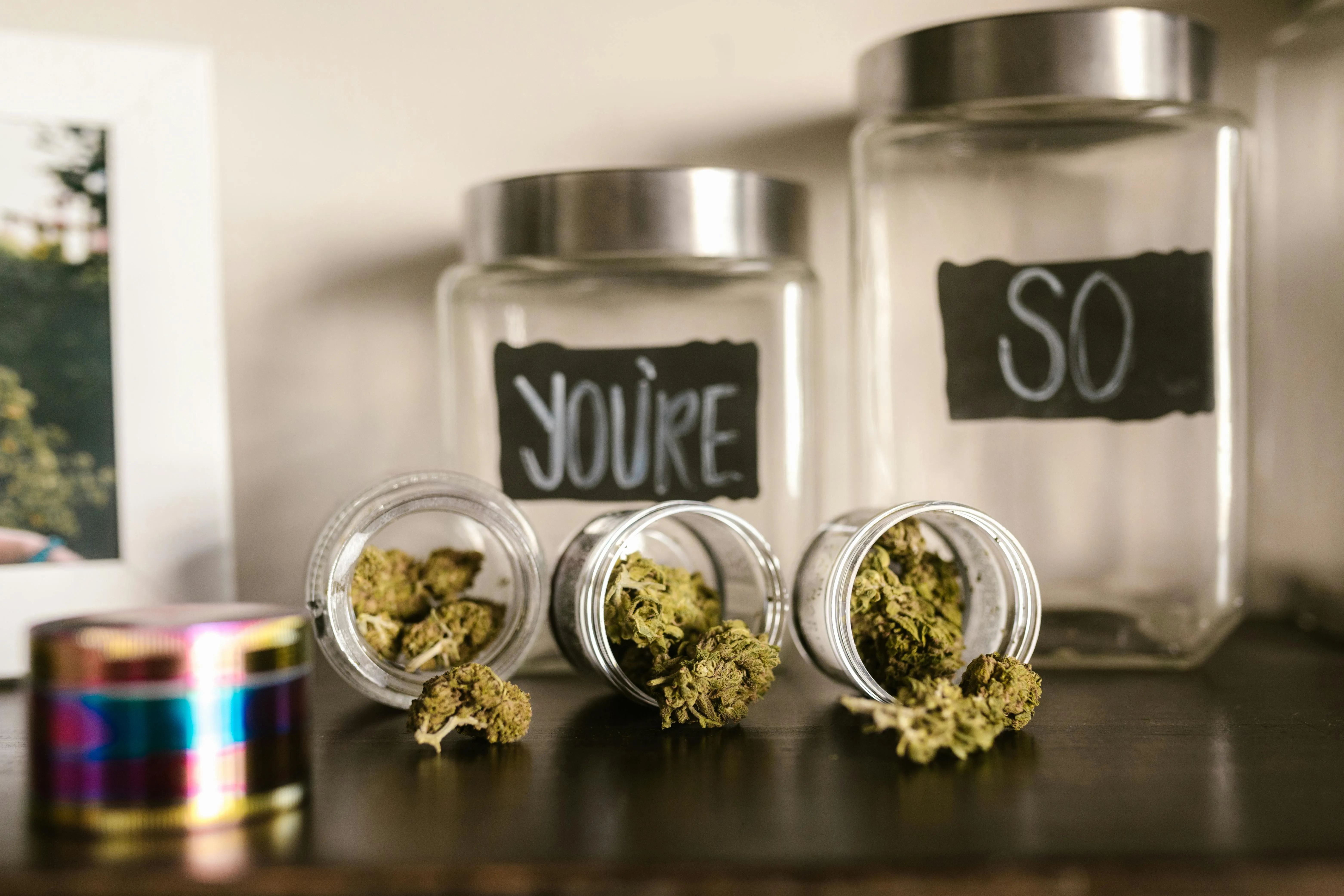 Where to Buy Jeremiah Weed