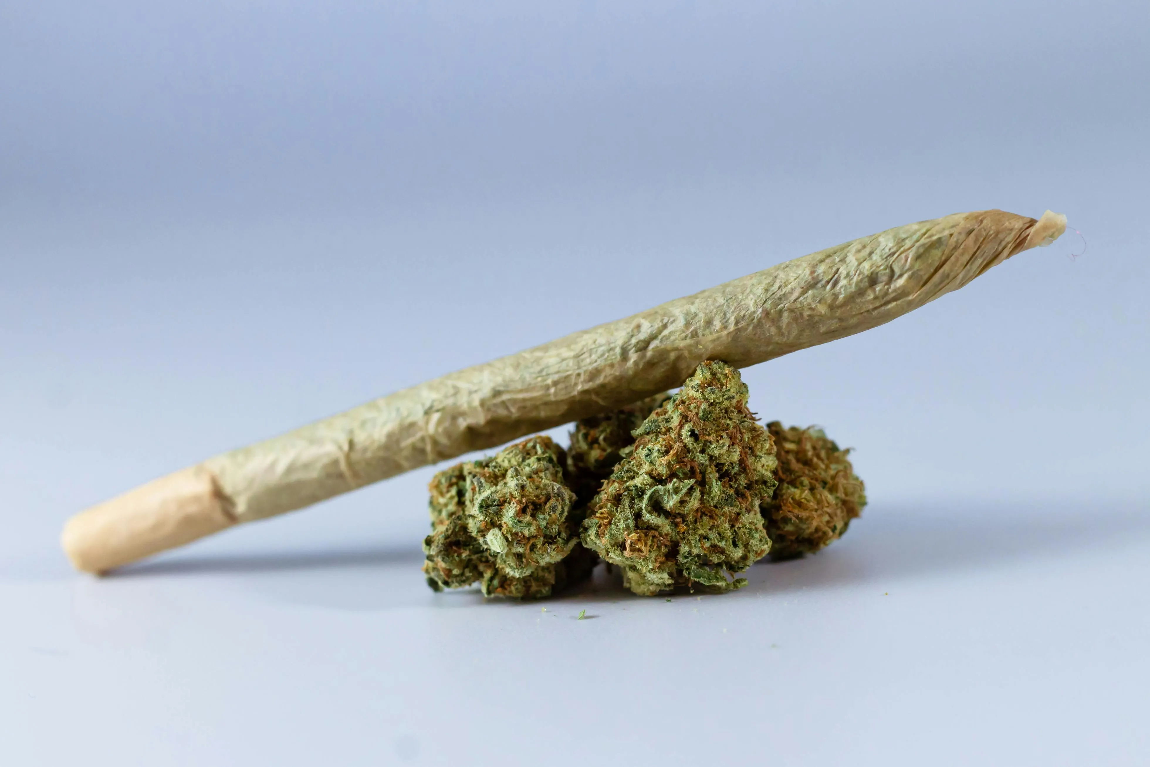 cannabis cooking