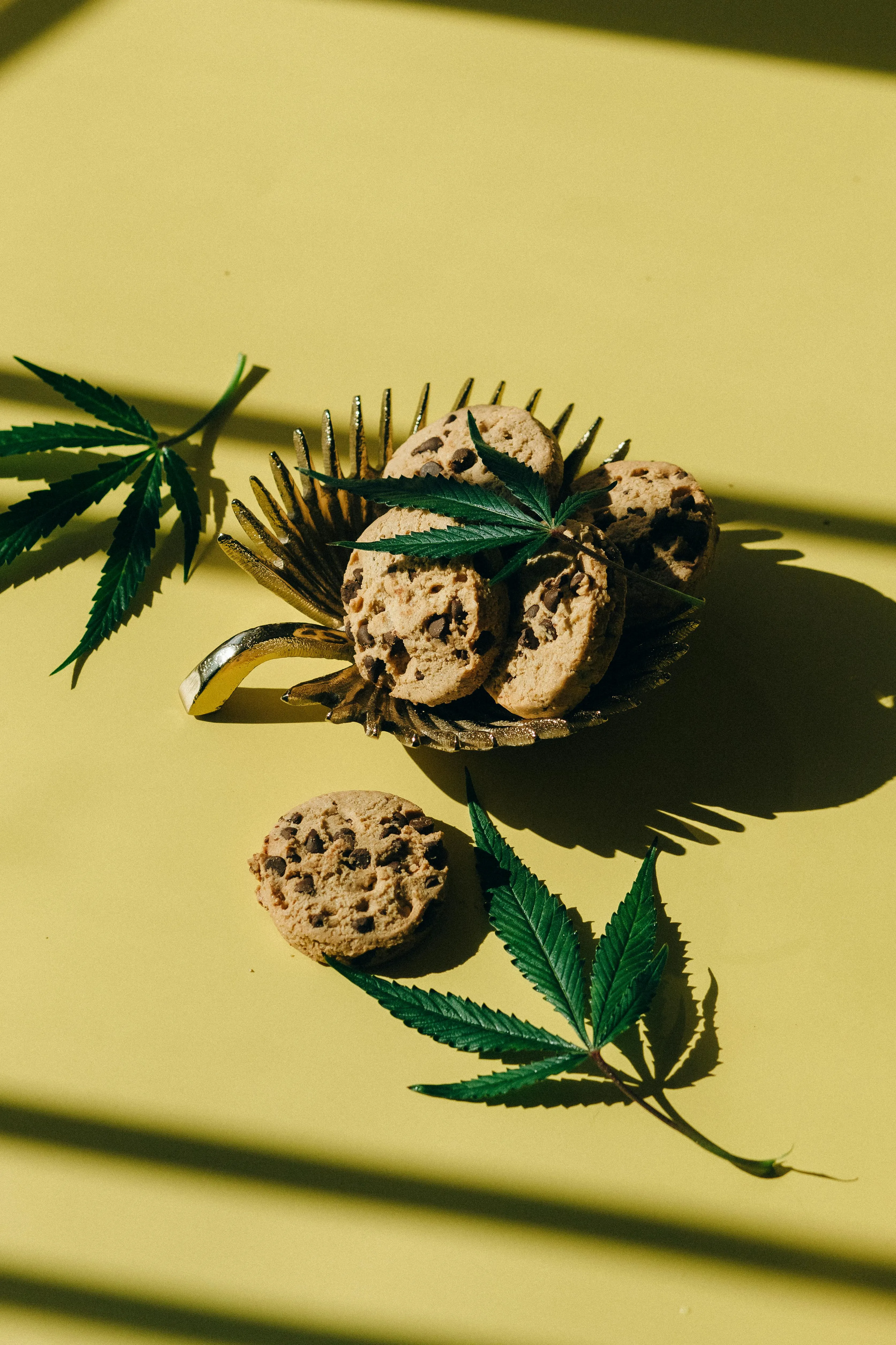 Montreal cannabis dispensaries