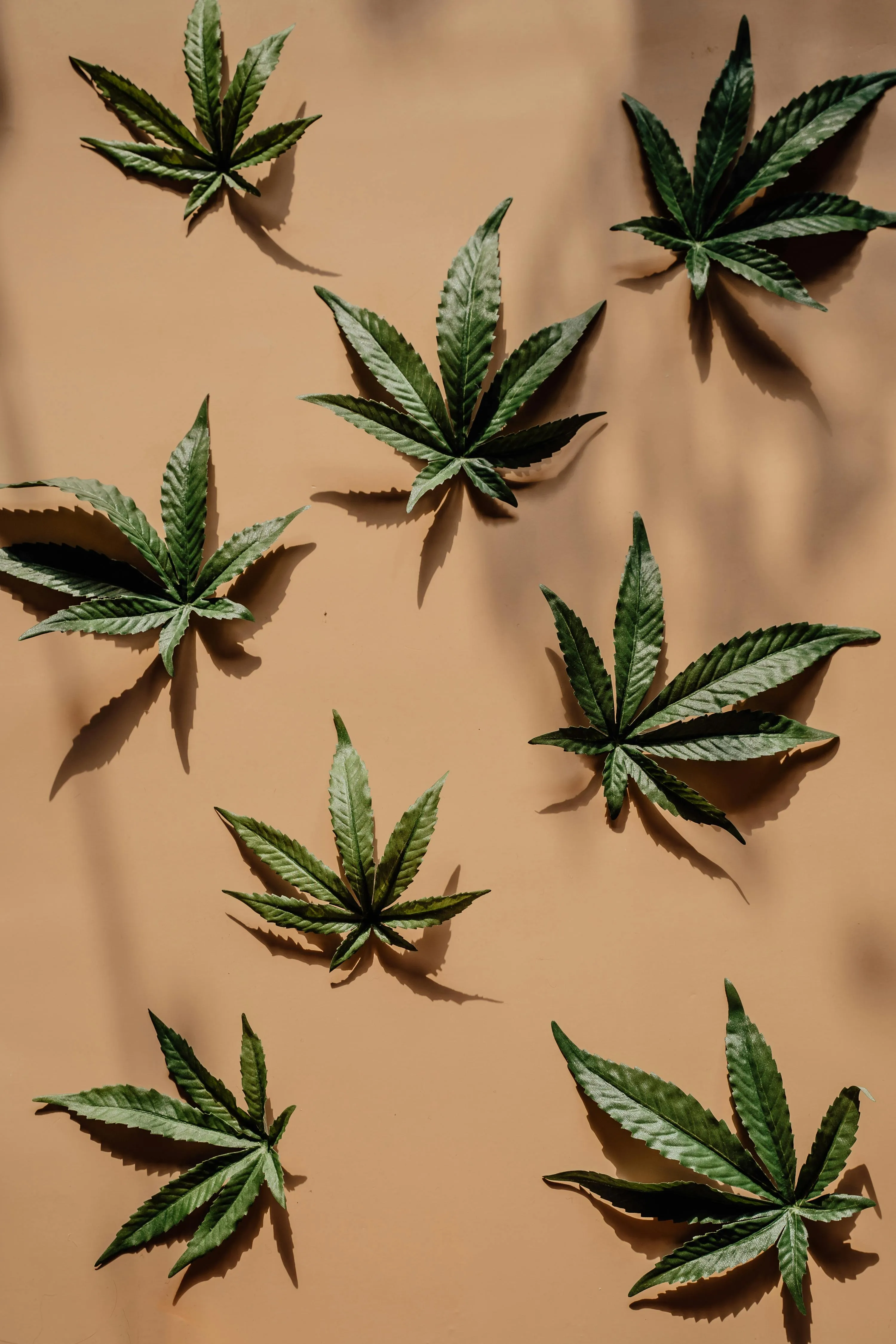 weed