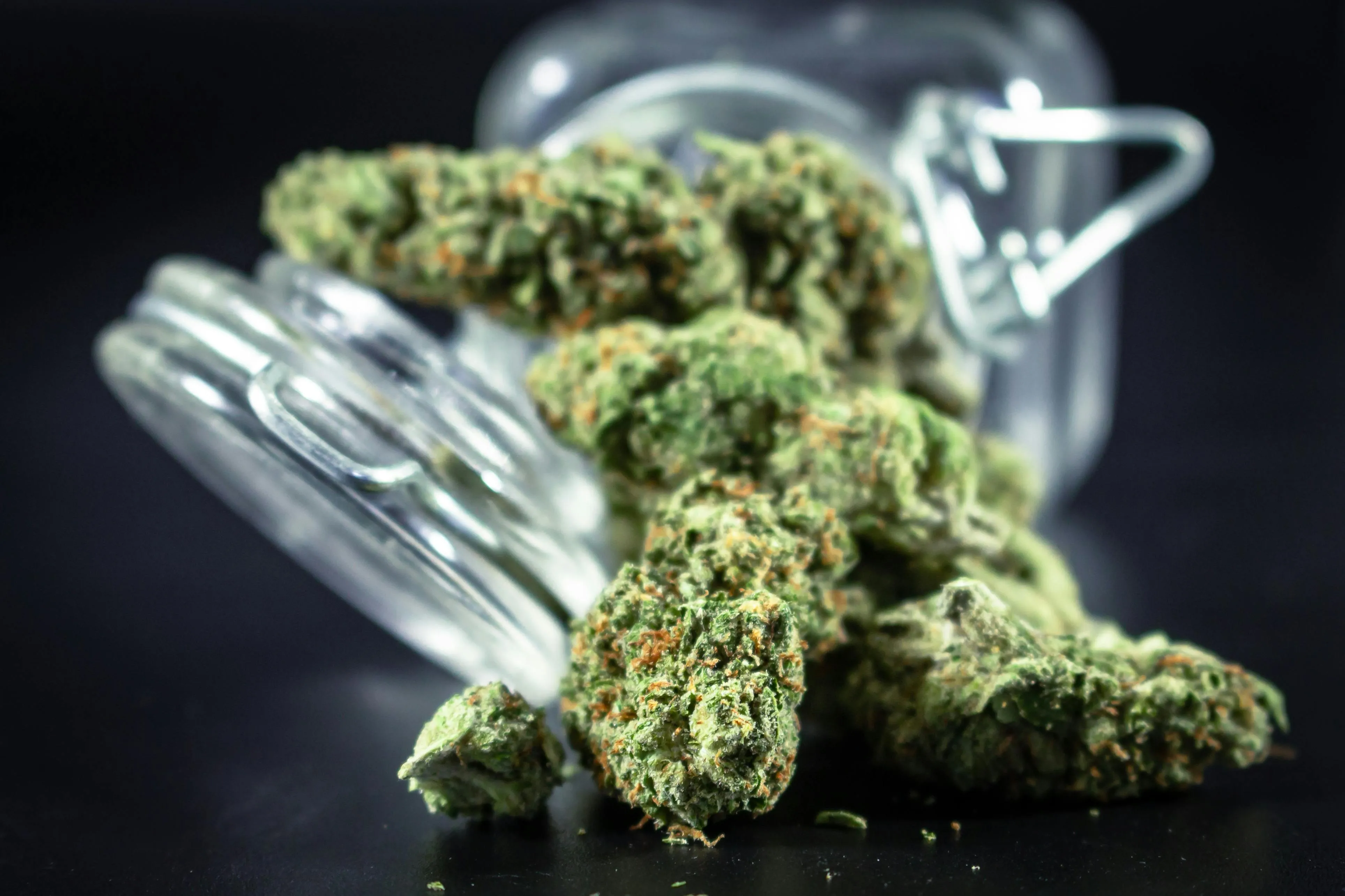 montreal cannabis