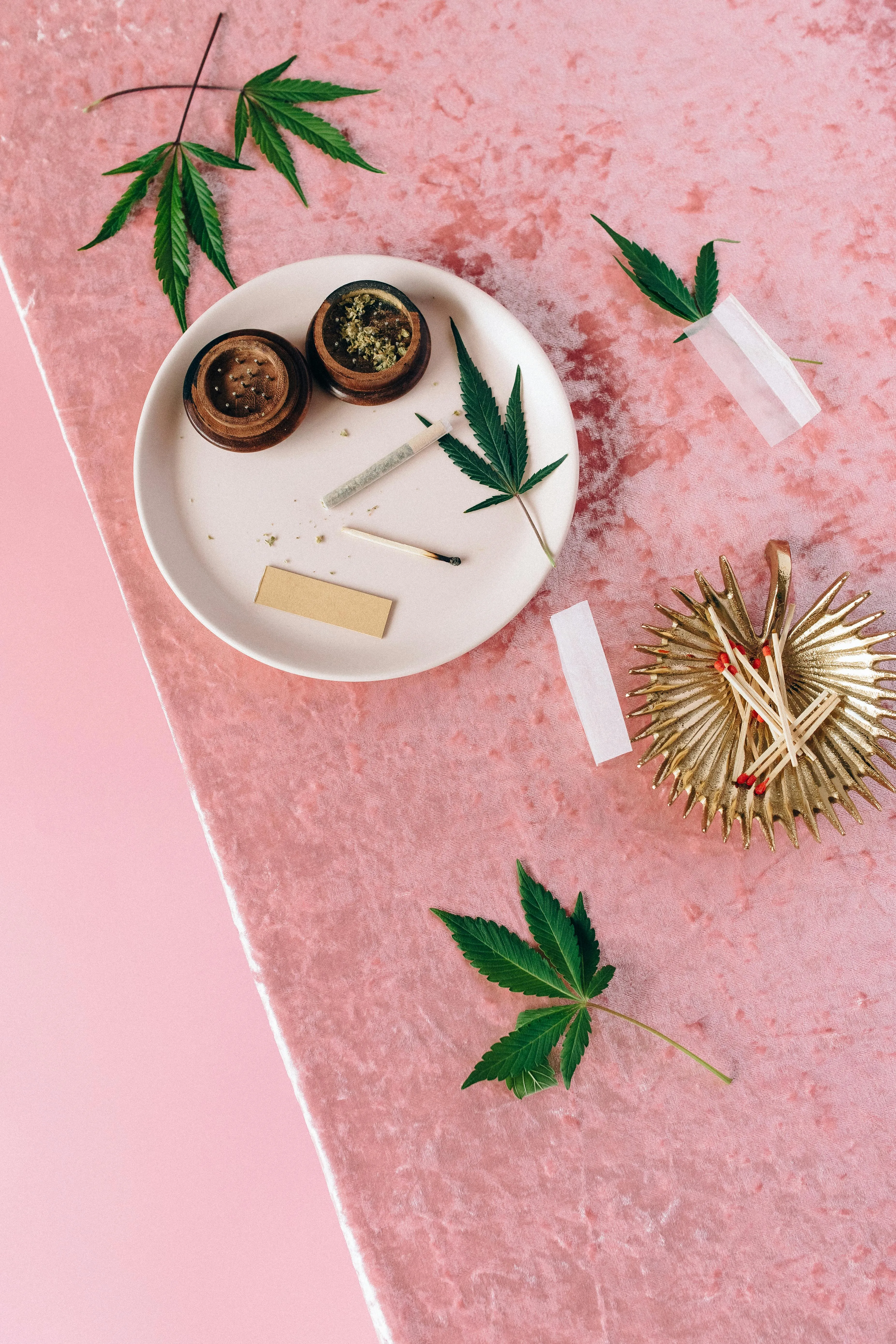 cannabis seed laws