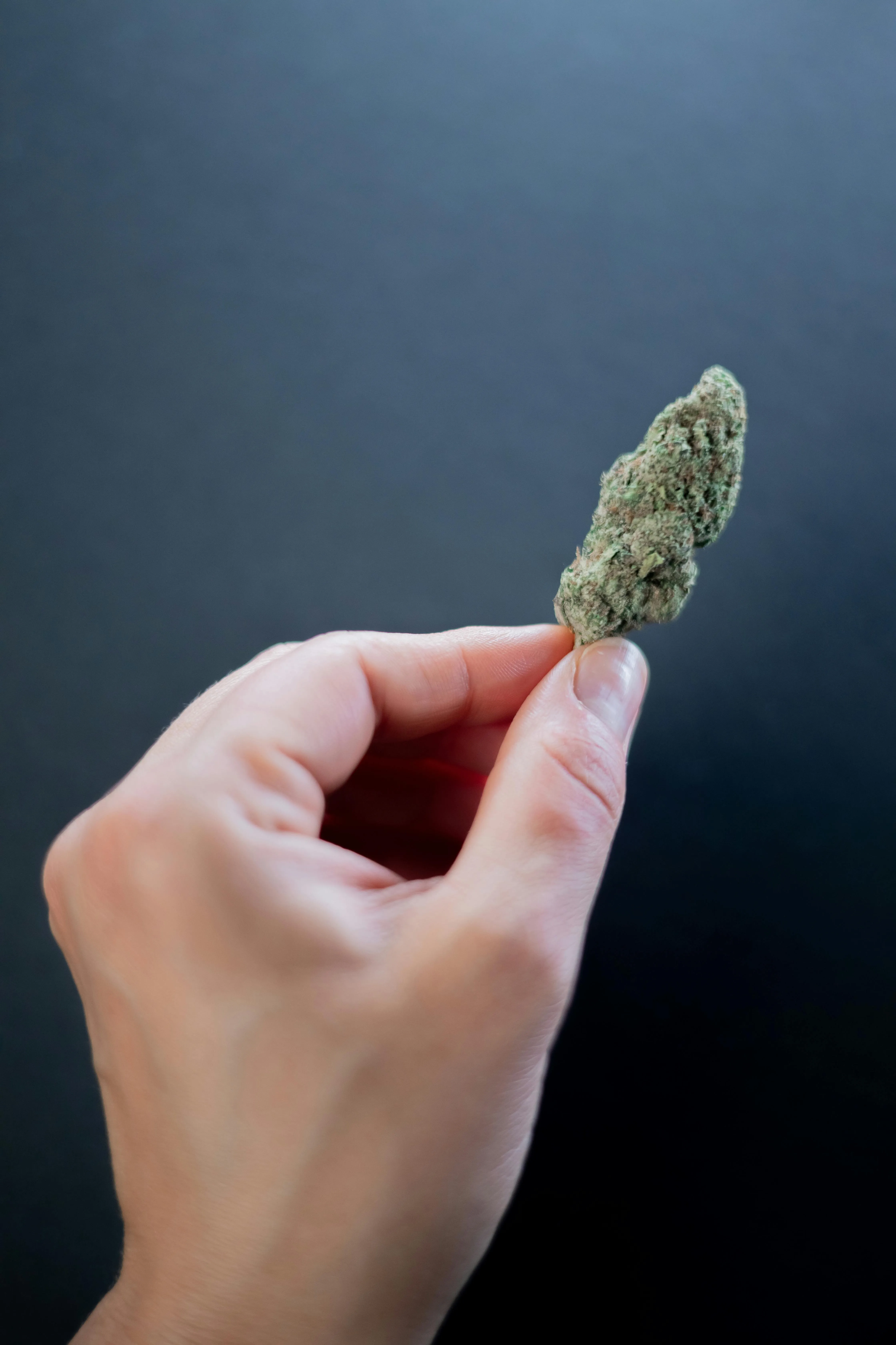 buy cannabis seeds