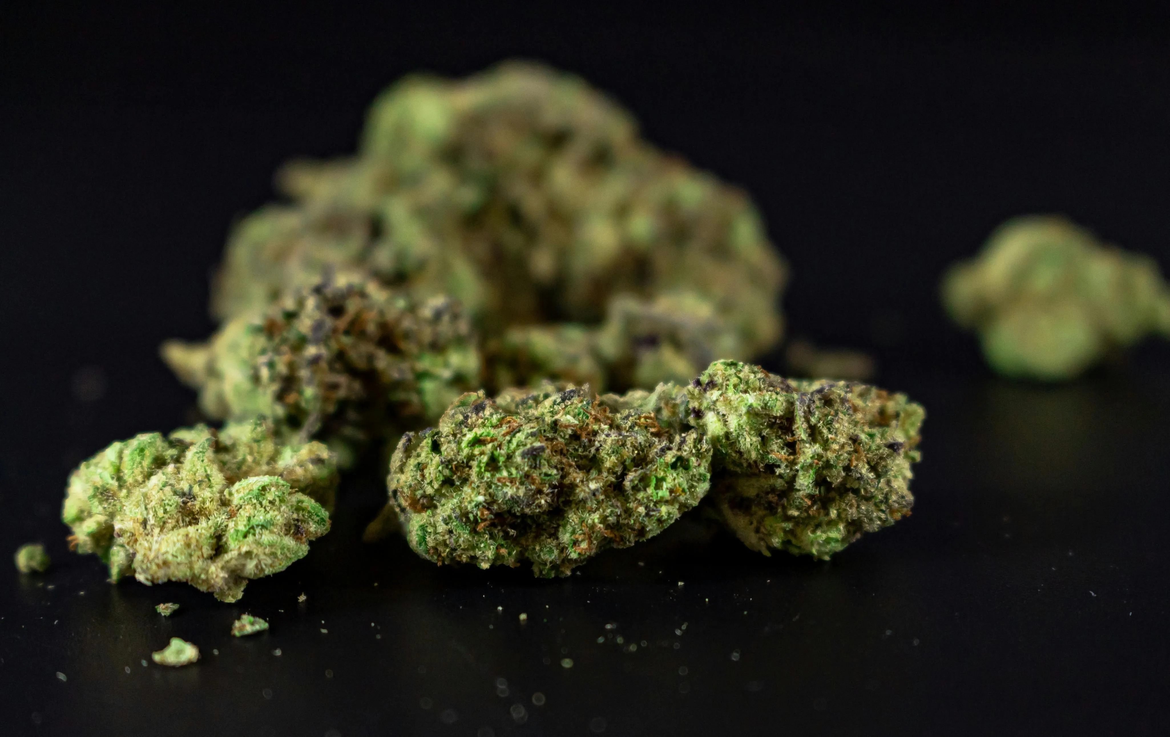 buy cannabis seeds