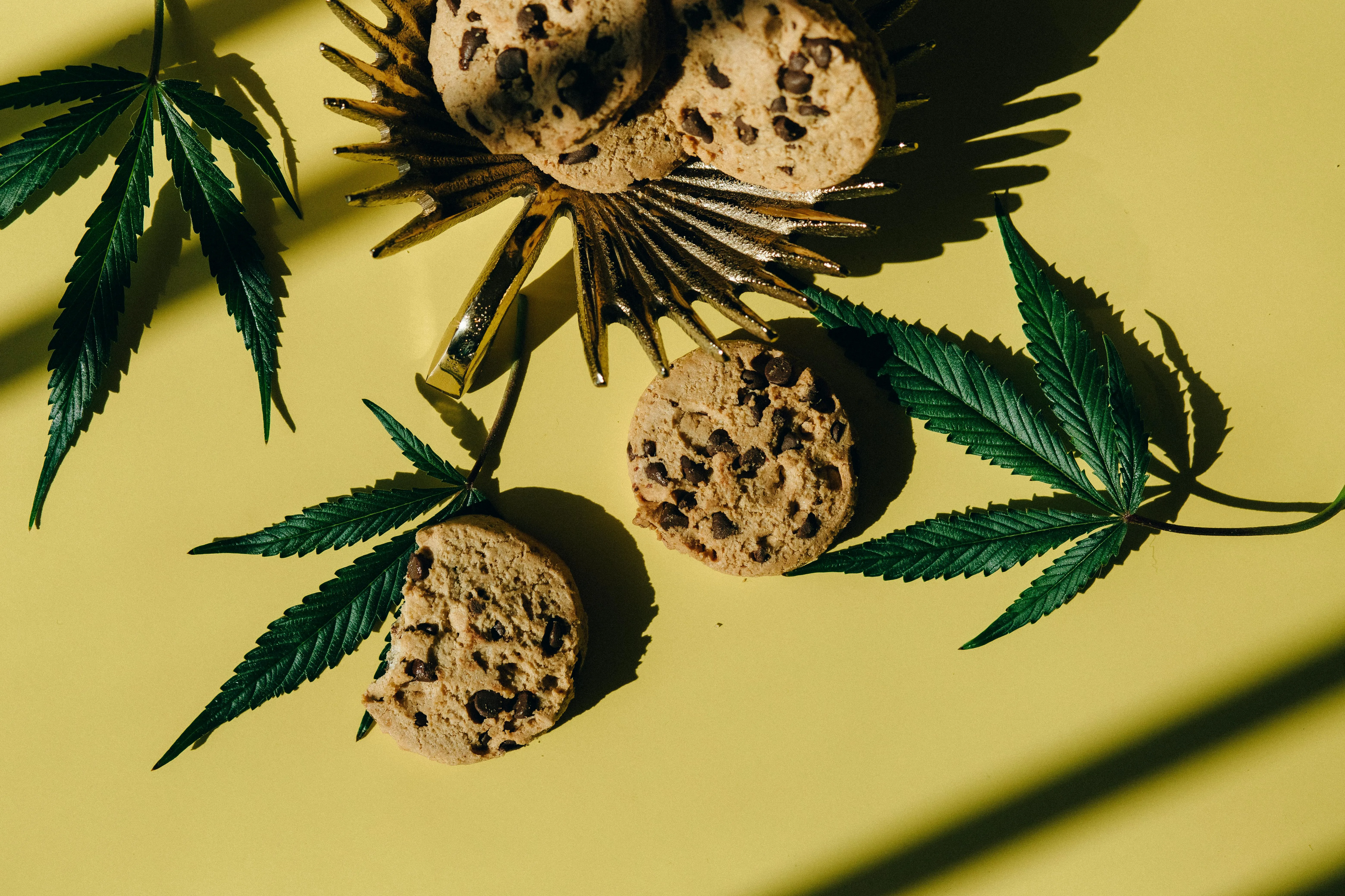 marijuana cultivation