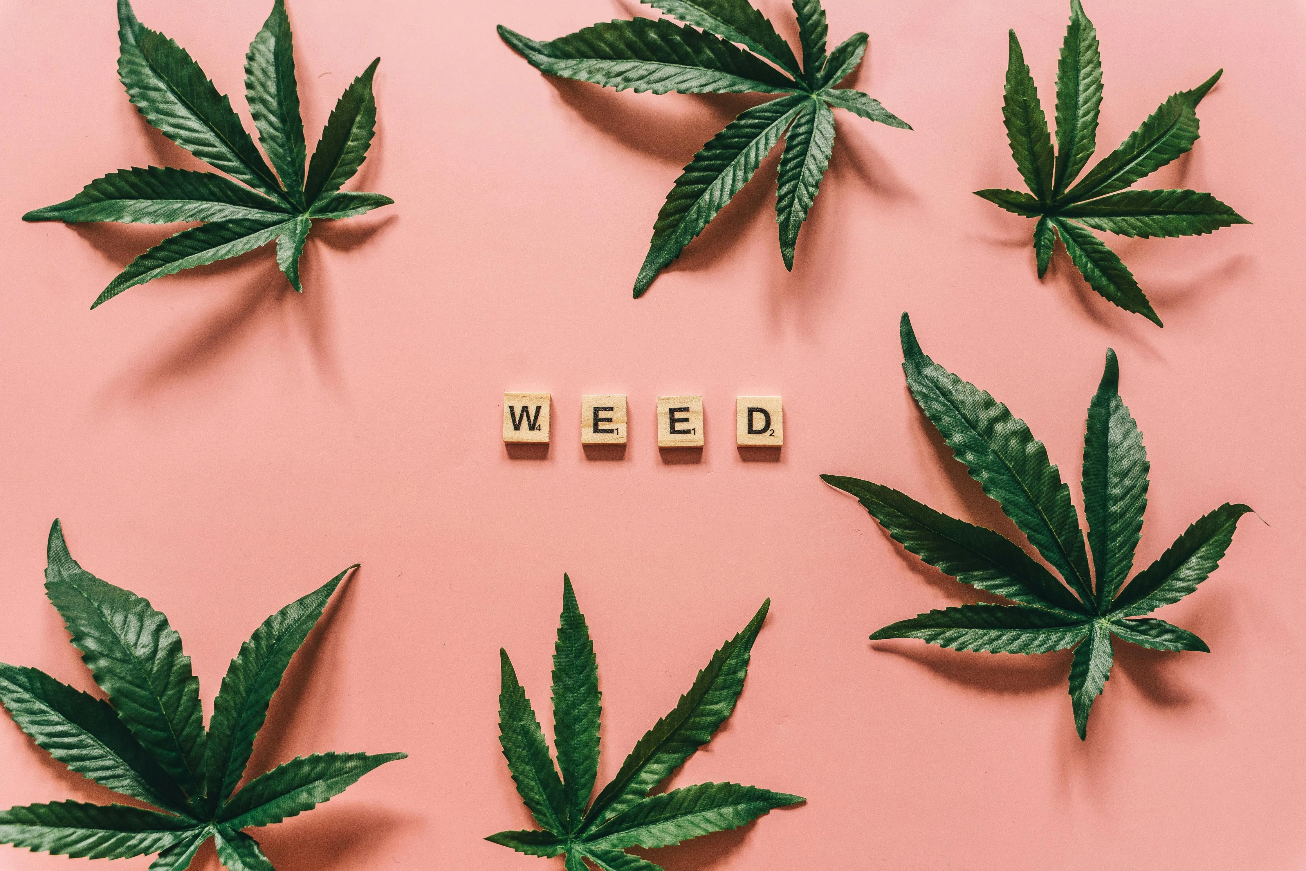 herbal remedies