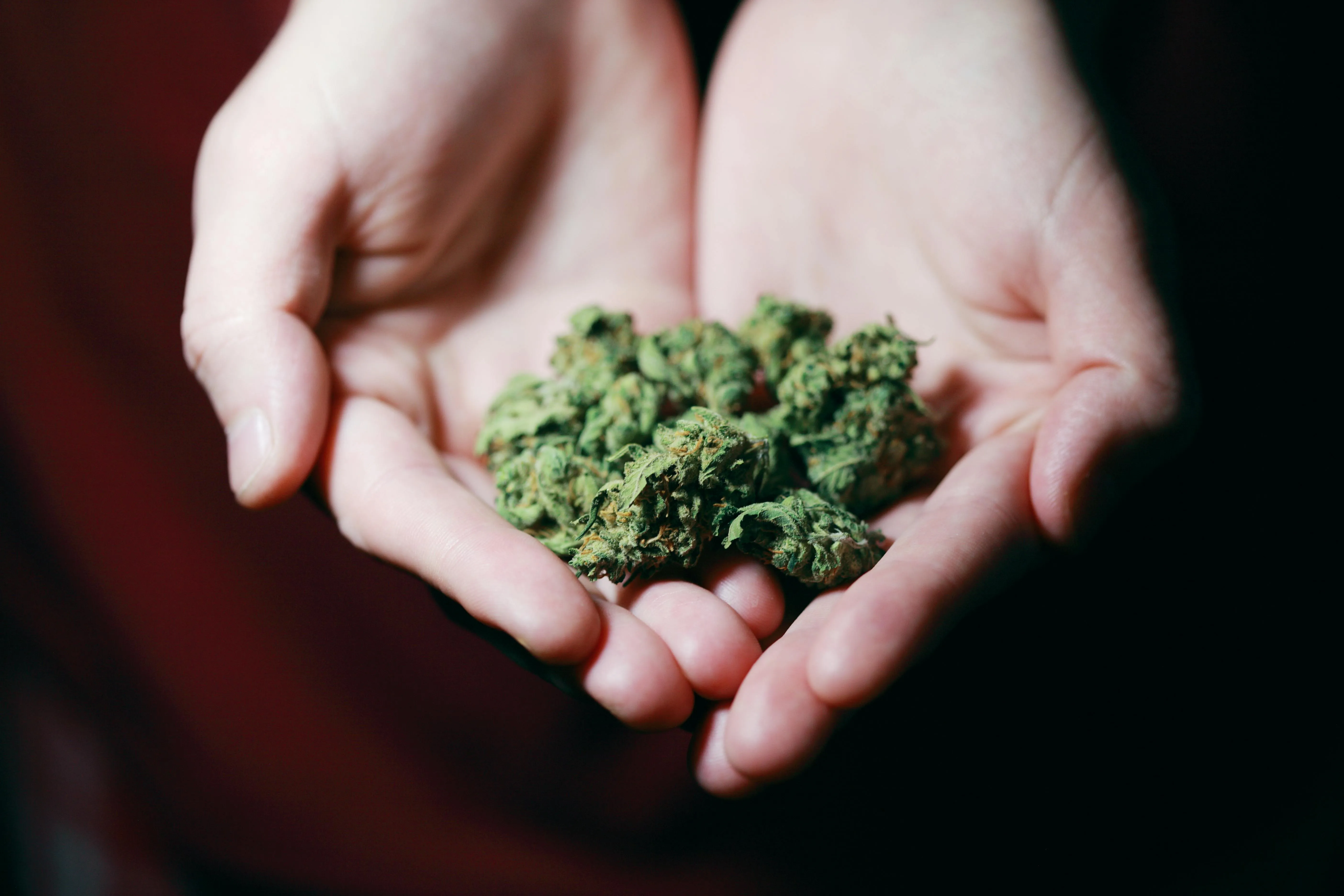 top strains