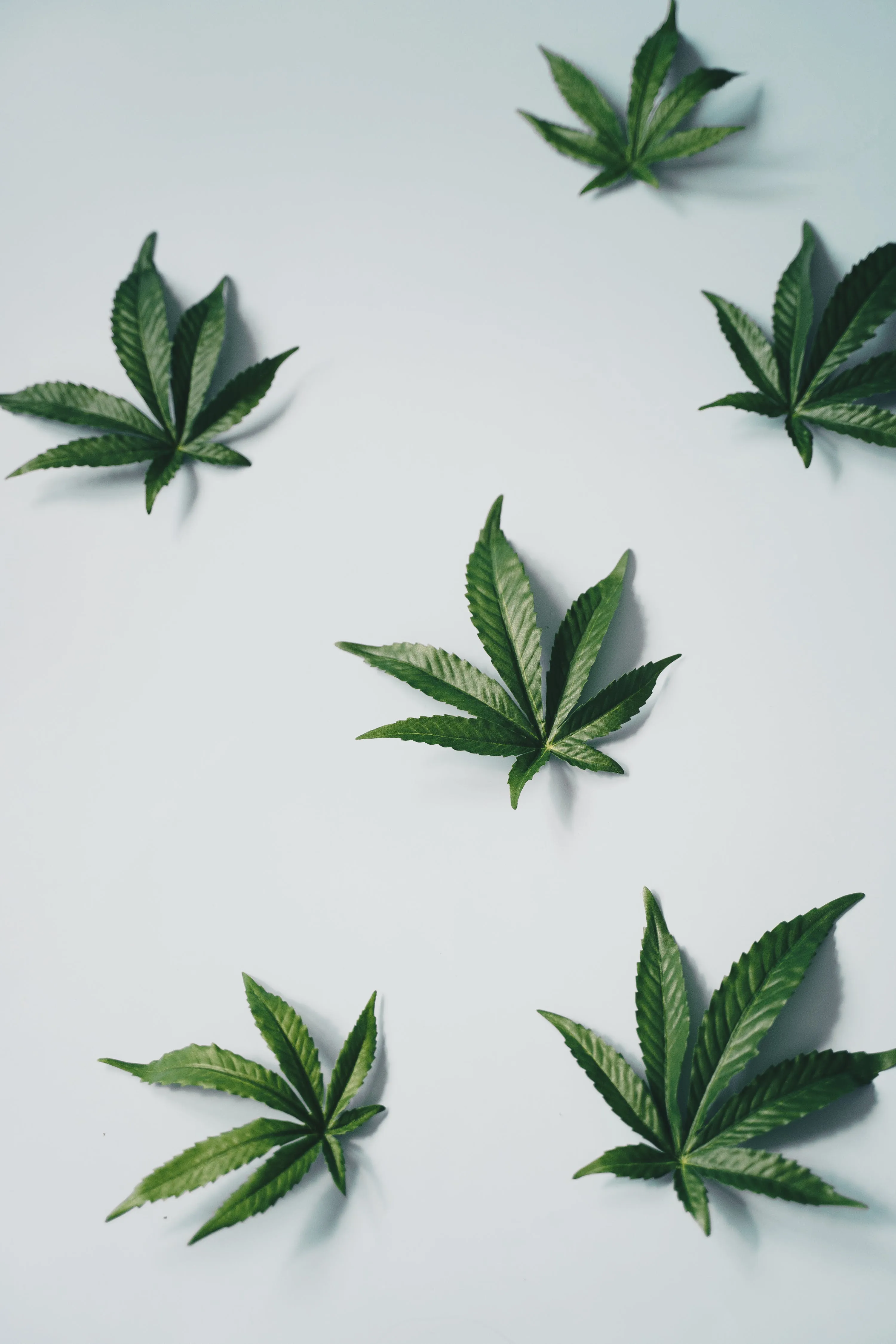 herbs