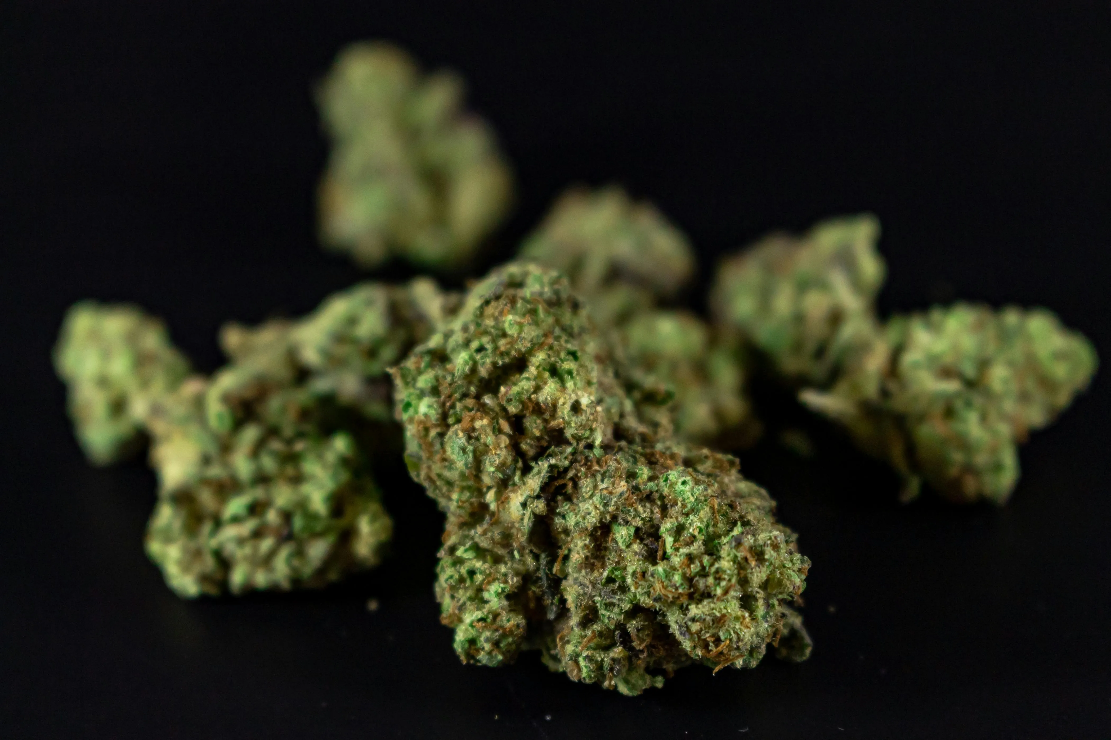 herbal medicine
