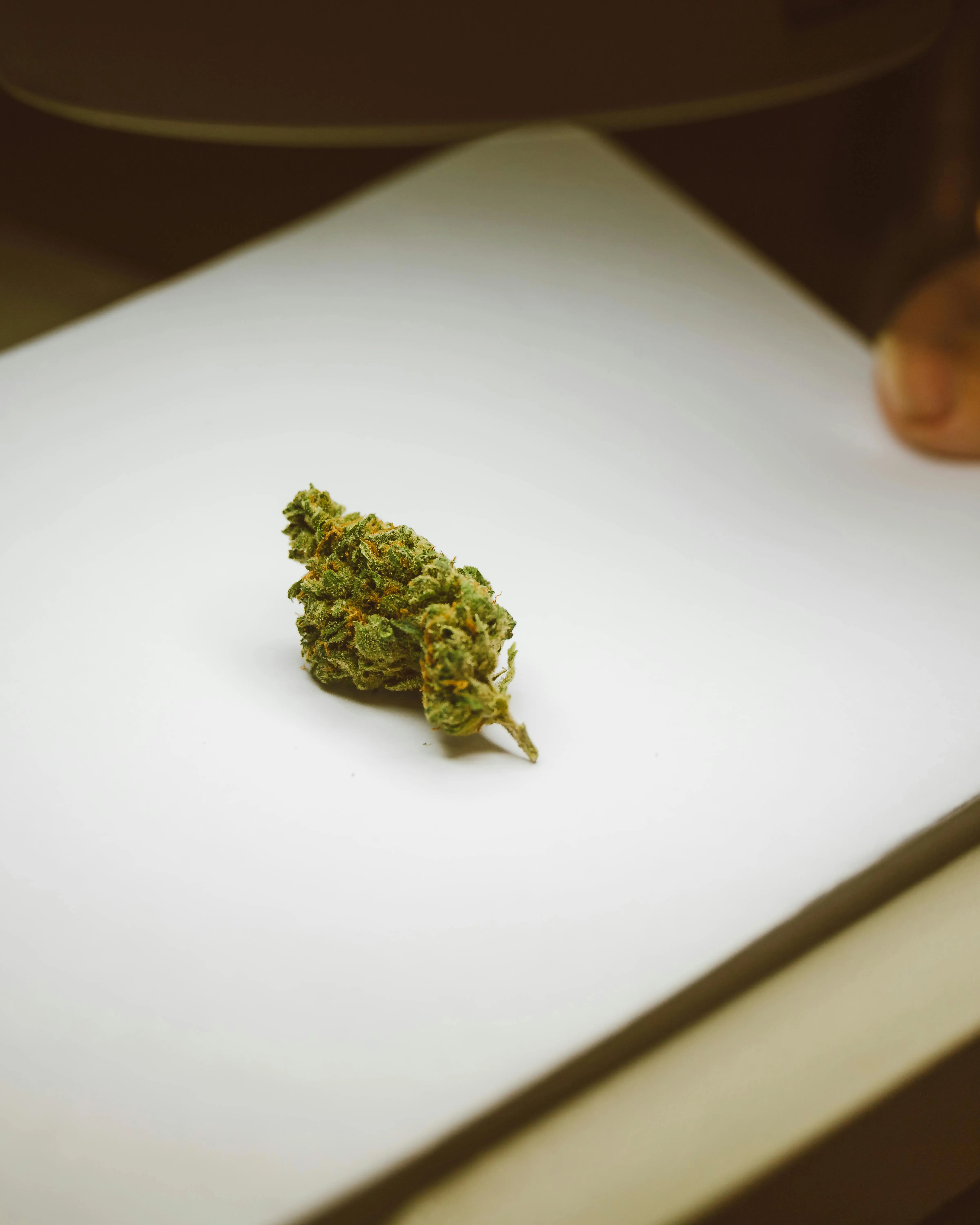 legal weed purchase