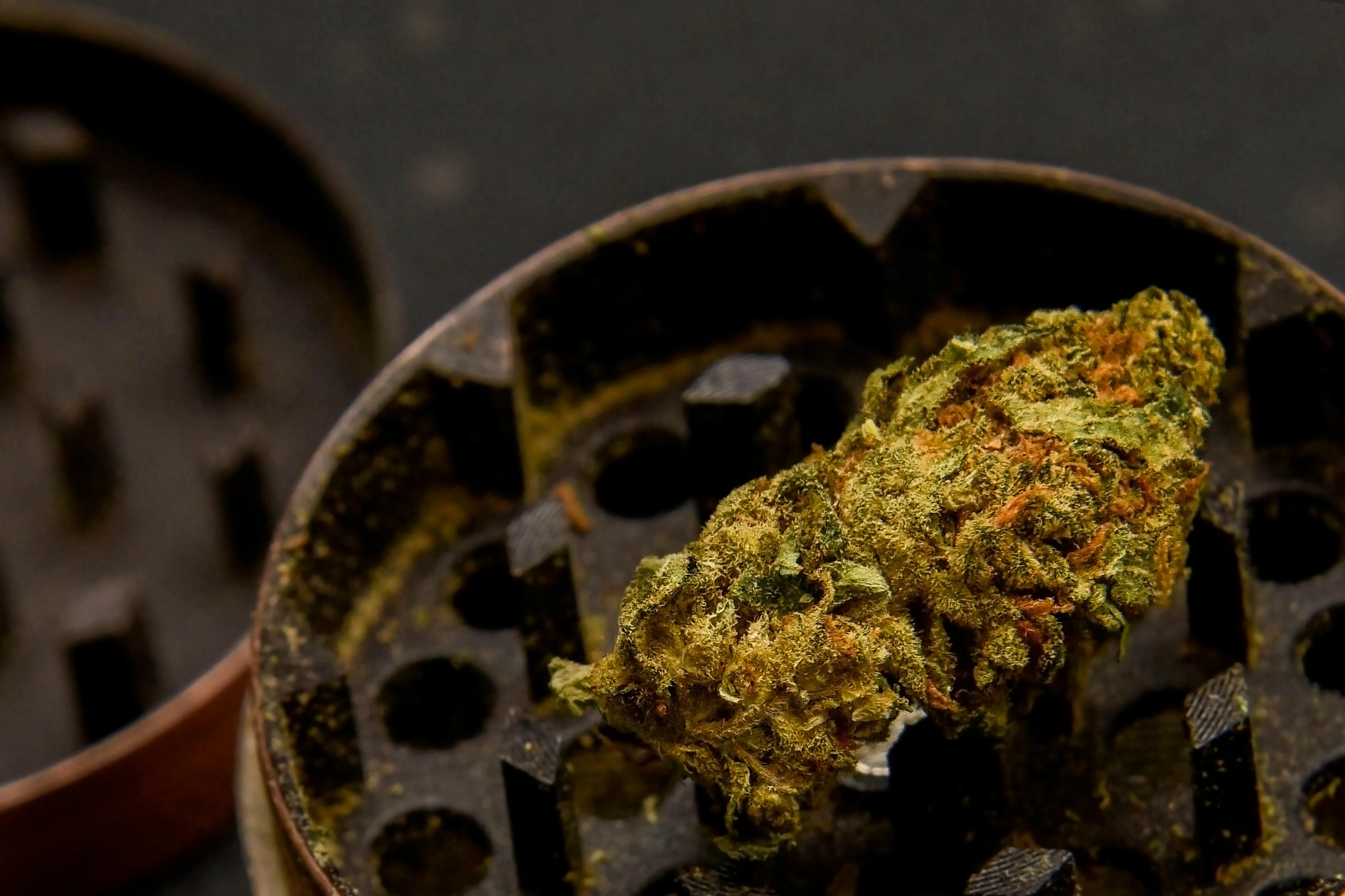 herbs