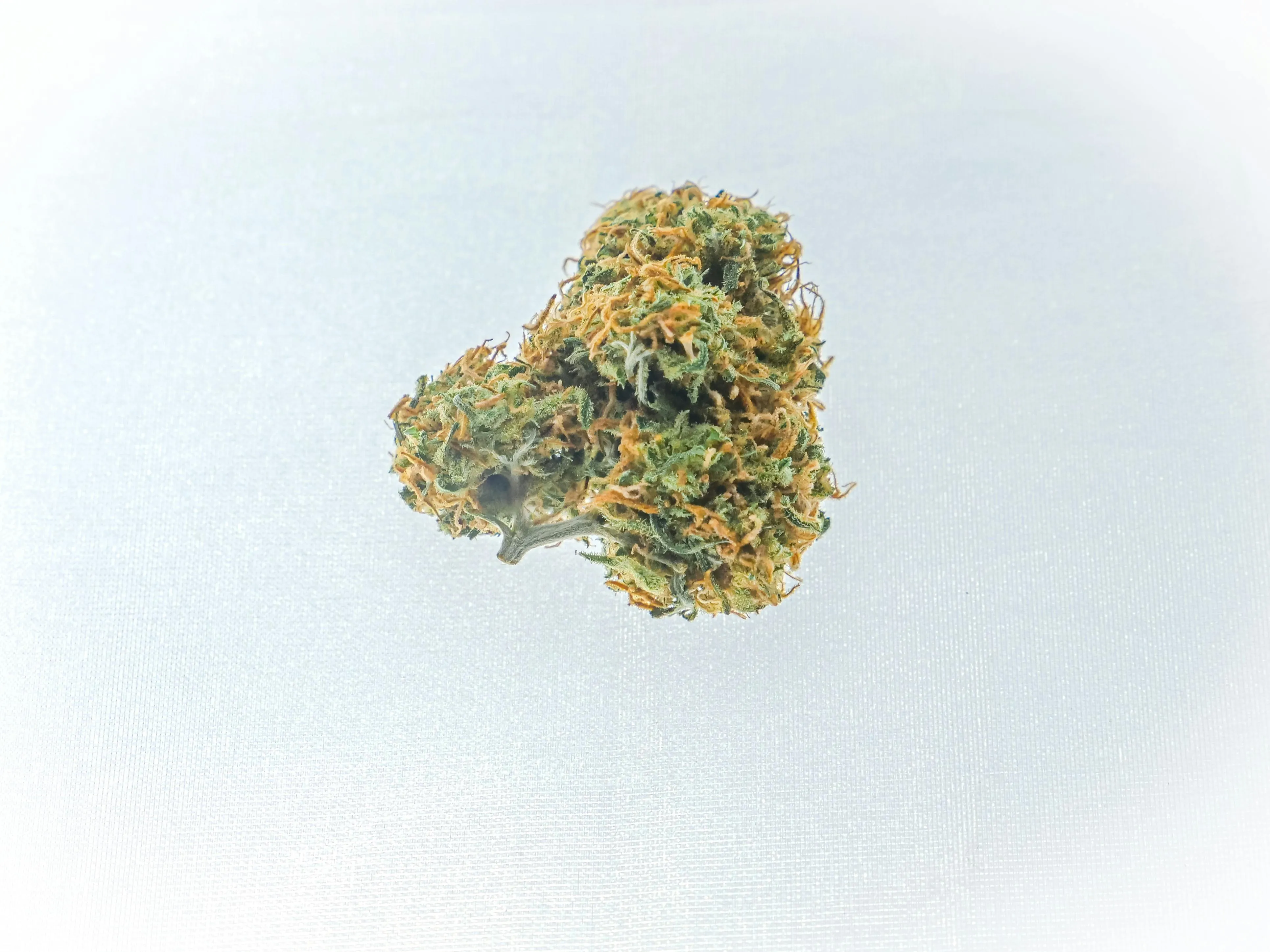 Strains