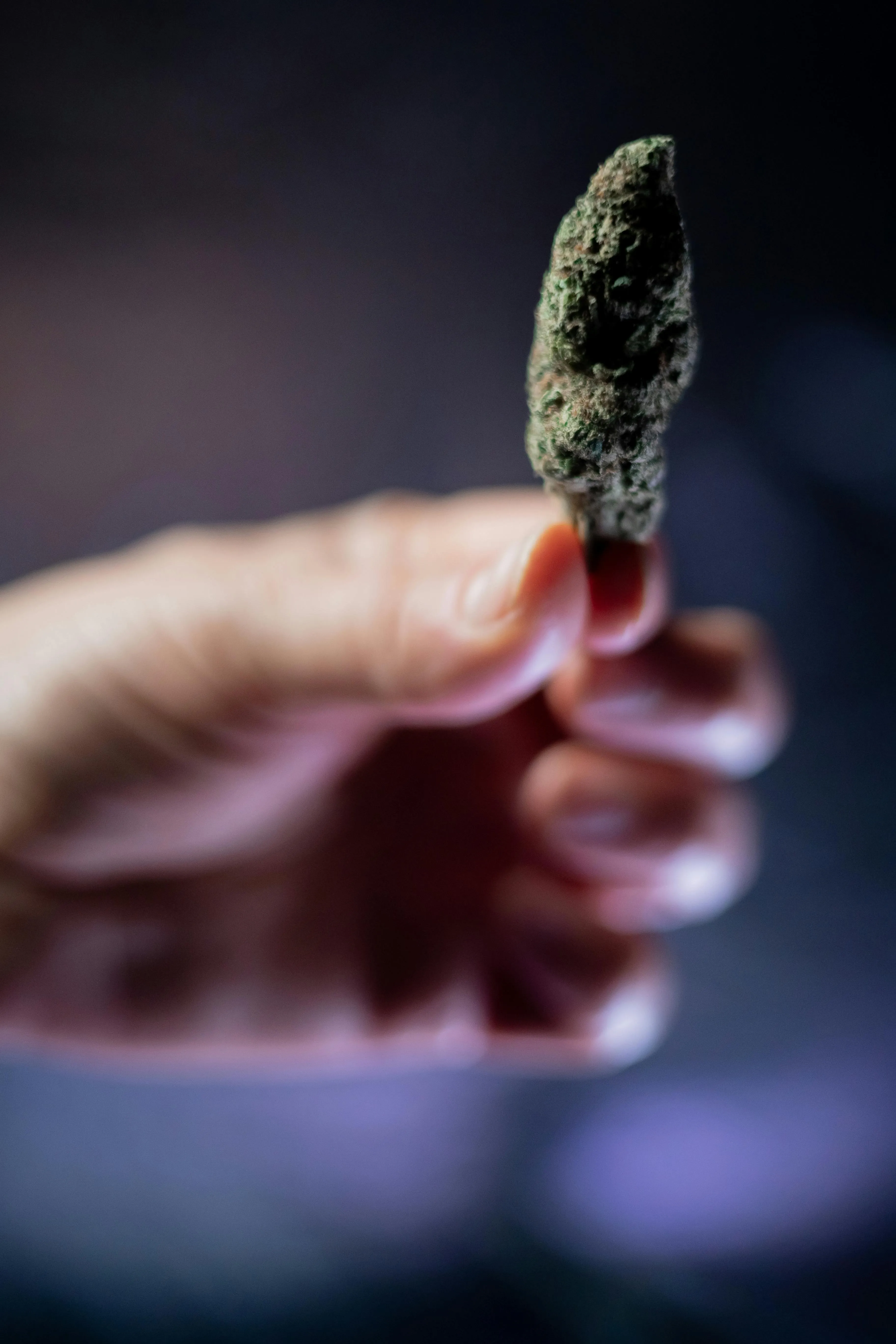 cannabis dispensary