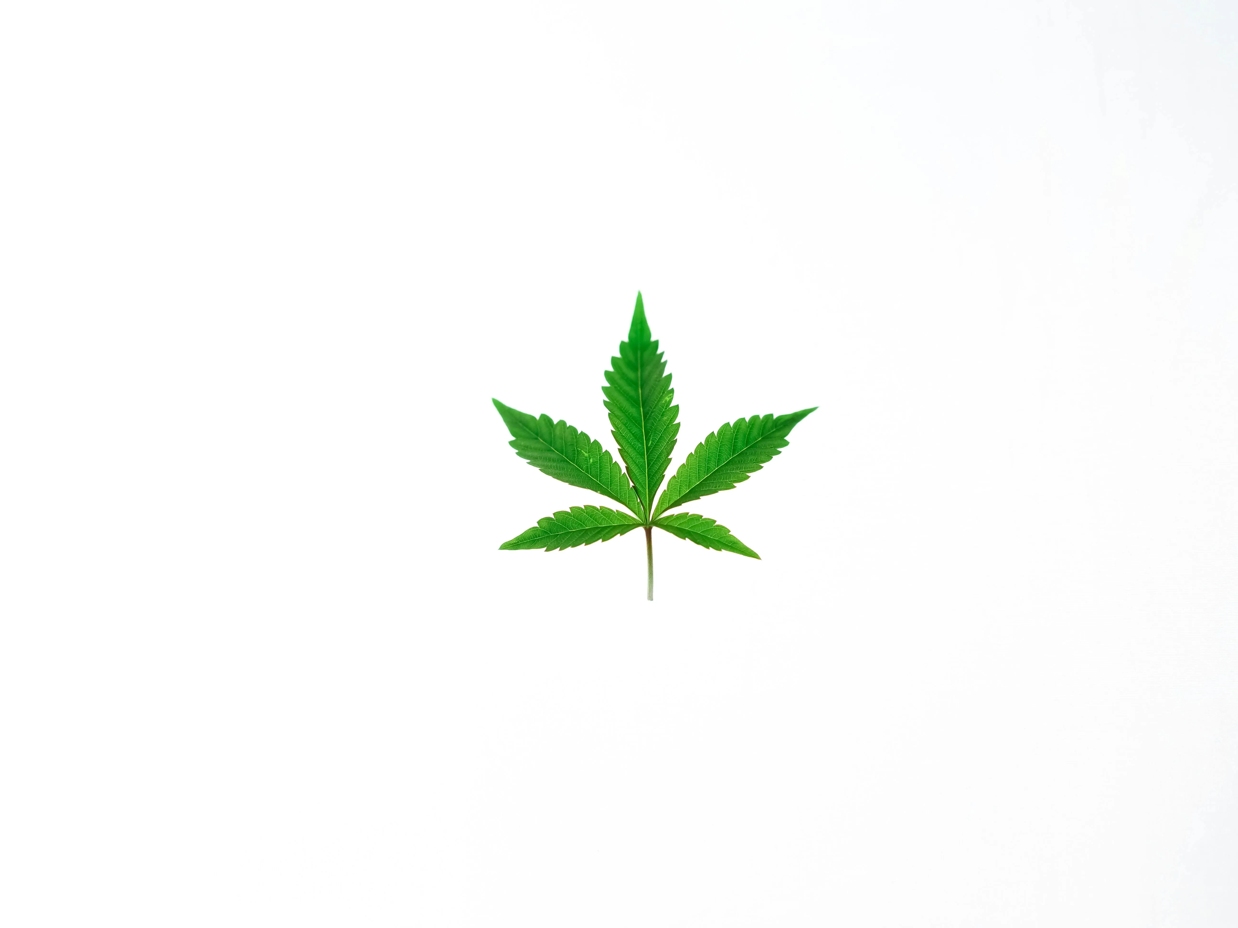 weed