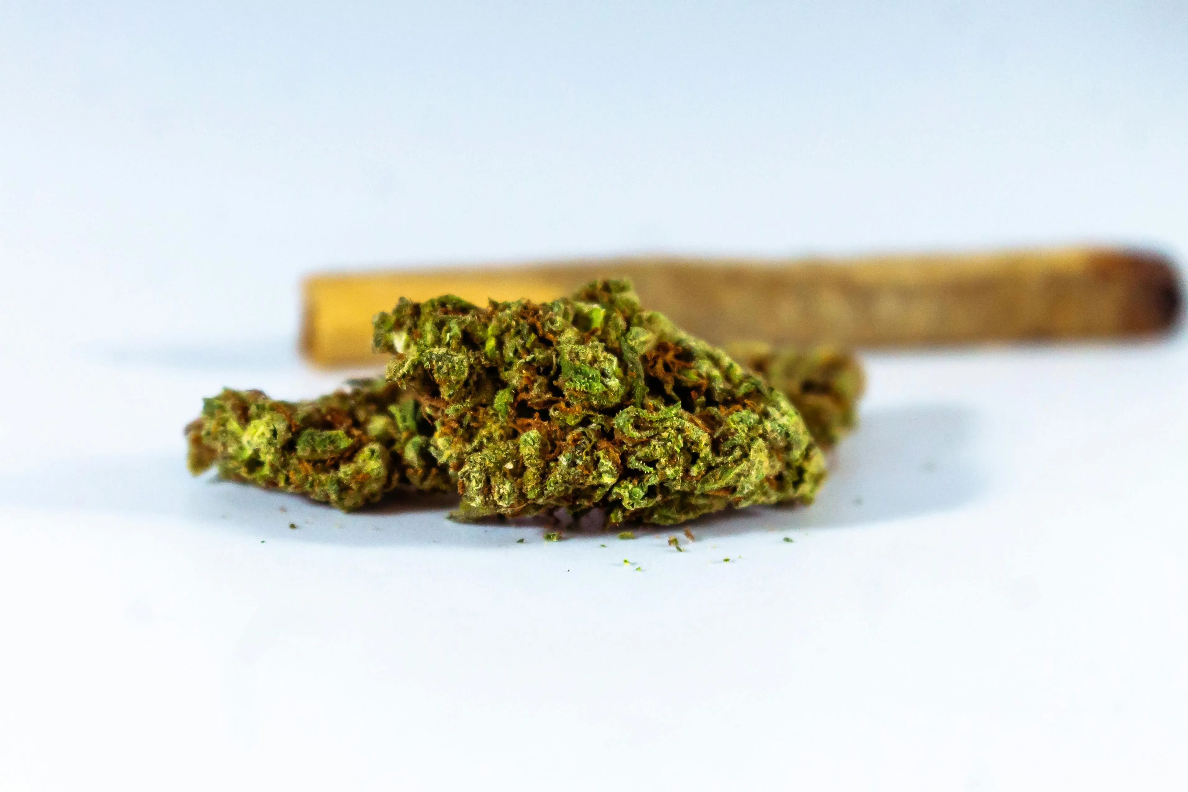 cannabis legalization