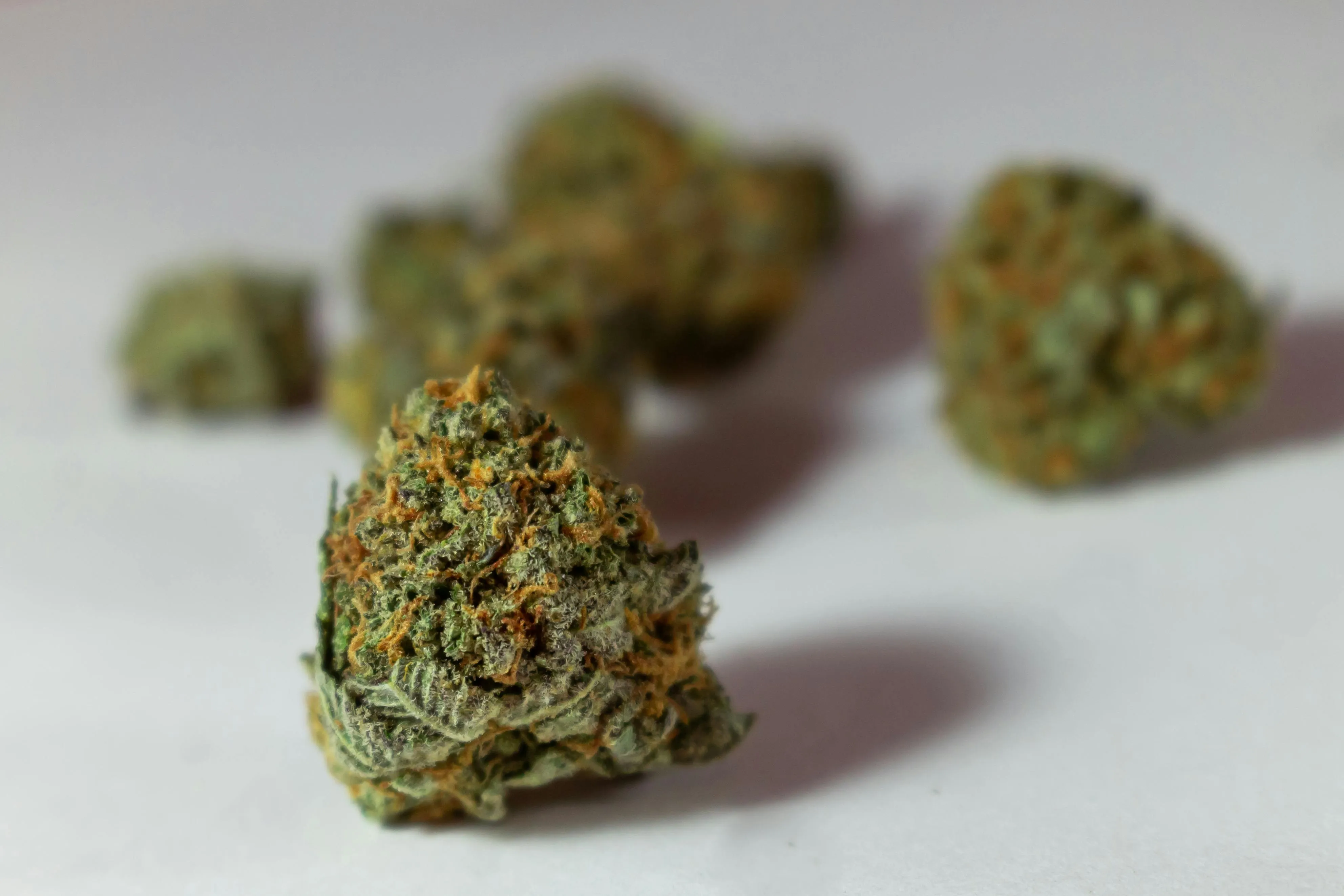 cannabis