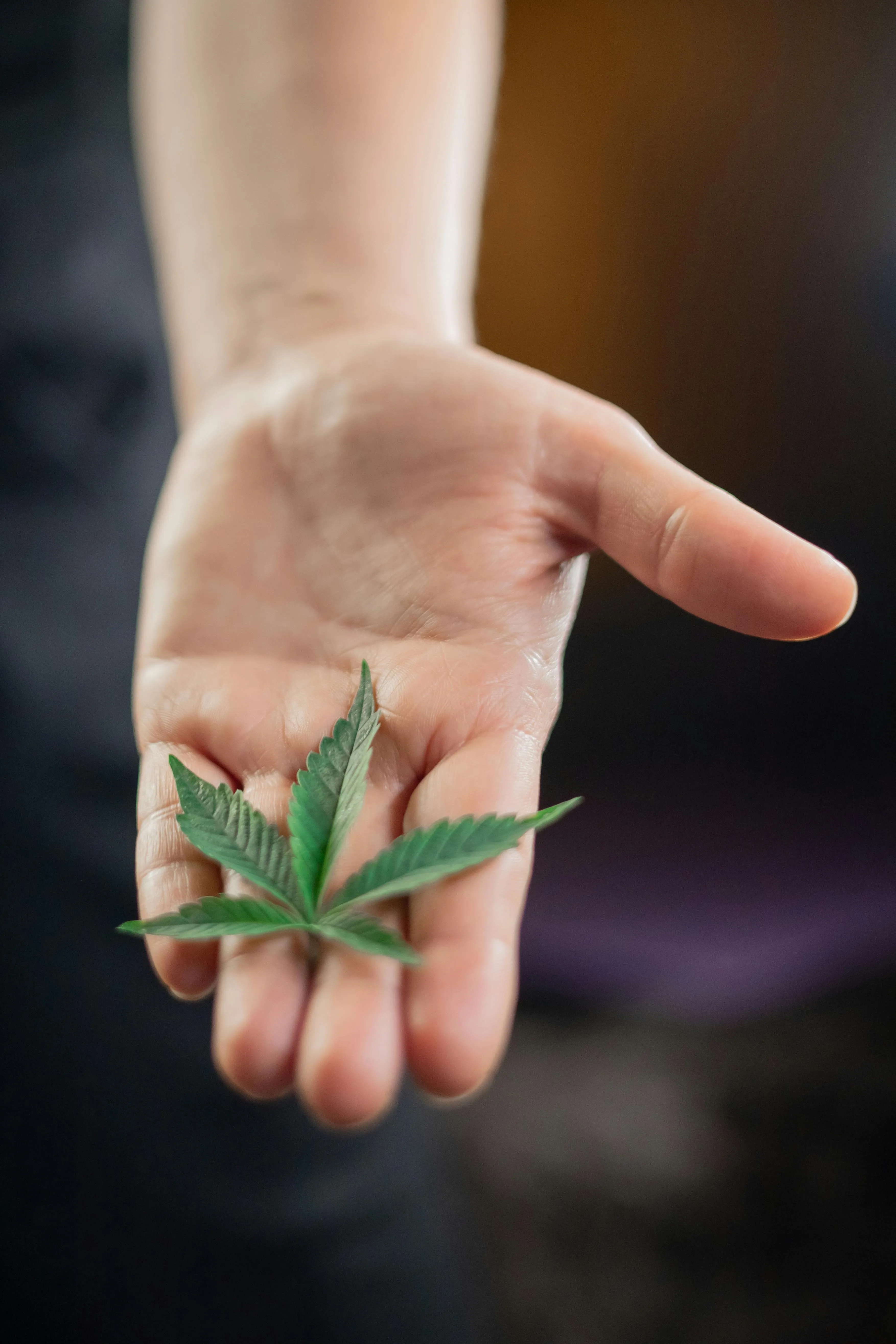 purchase cannabis