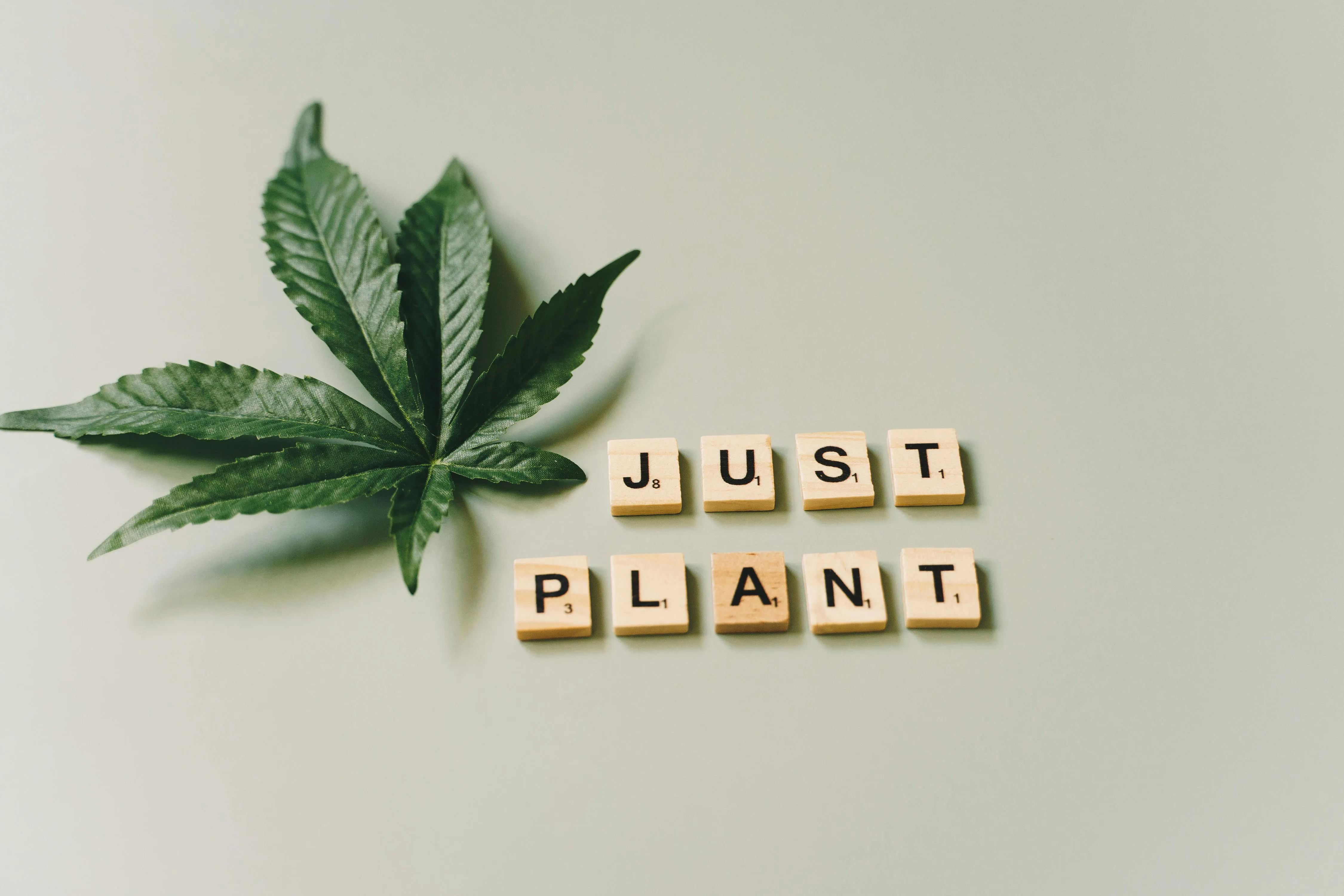 weed culture
