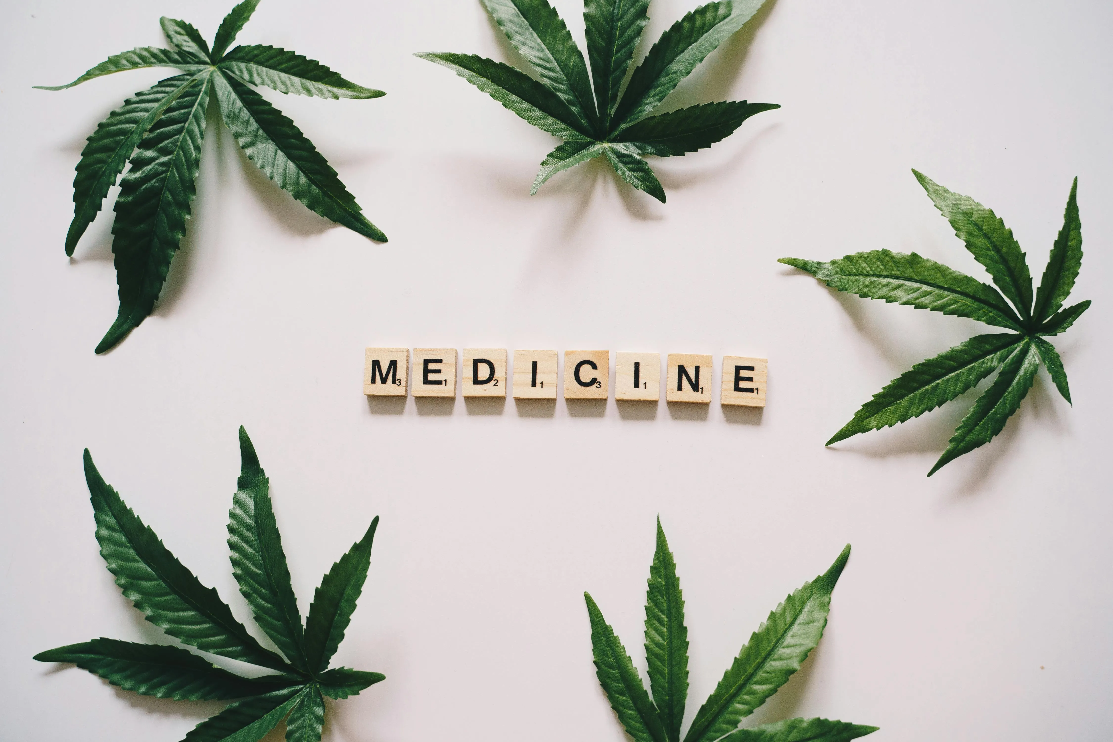 cannabis legality