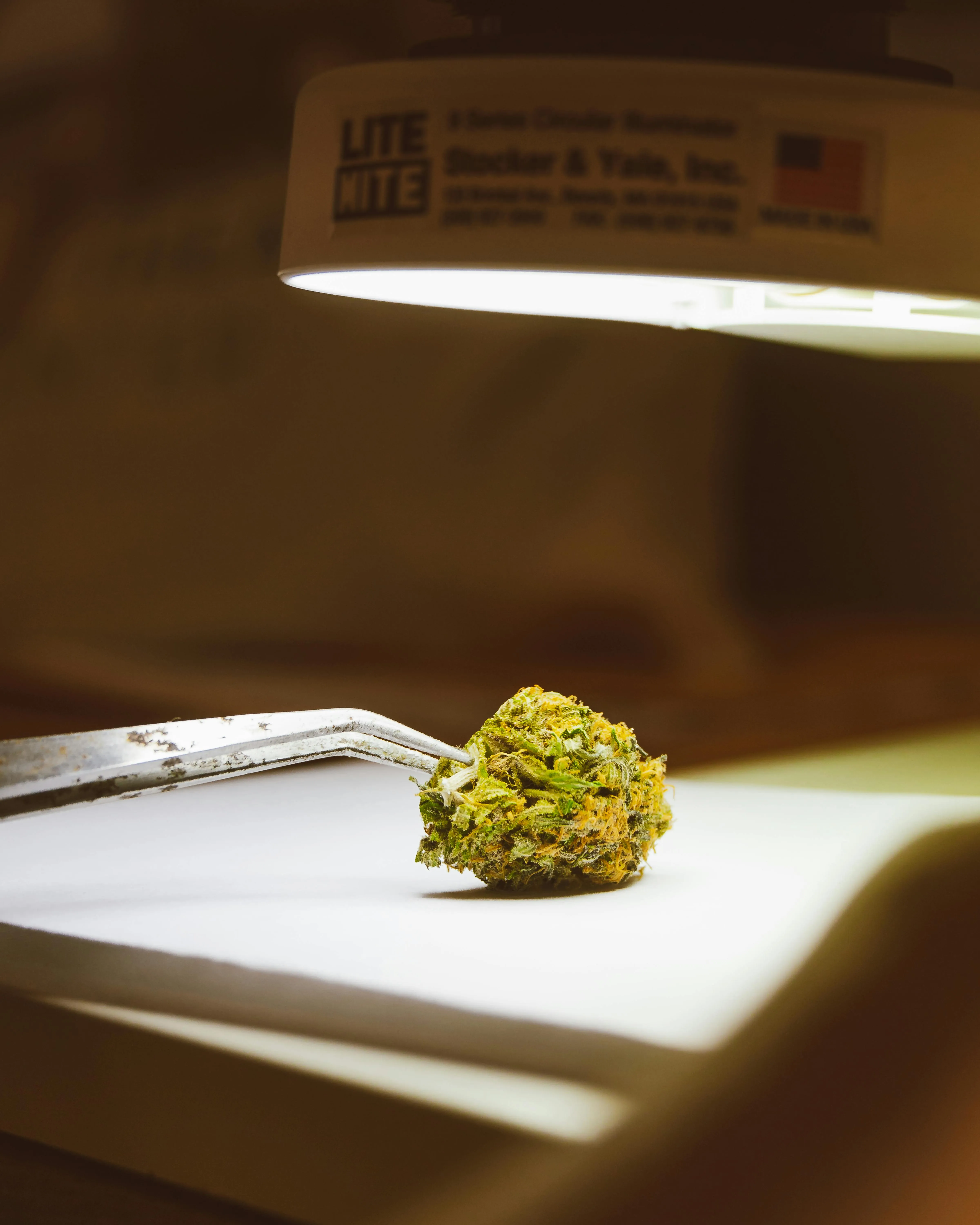 Toronto weed